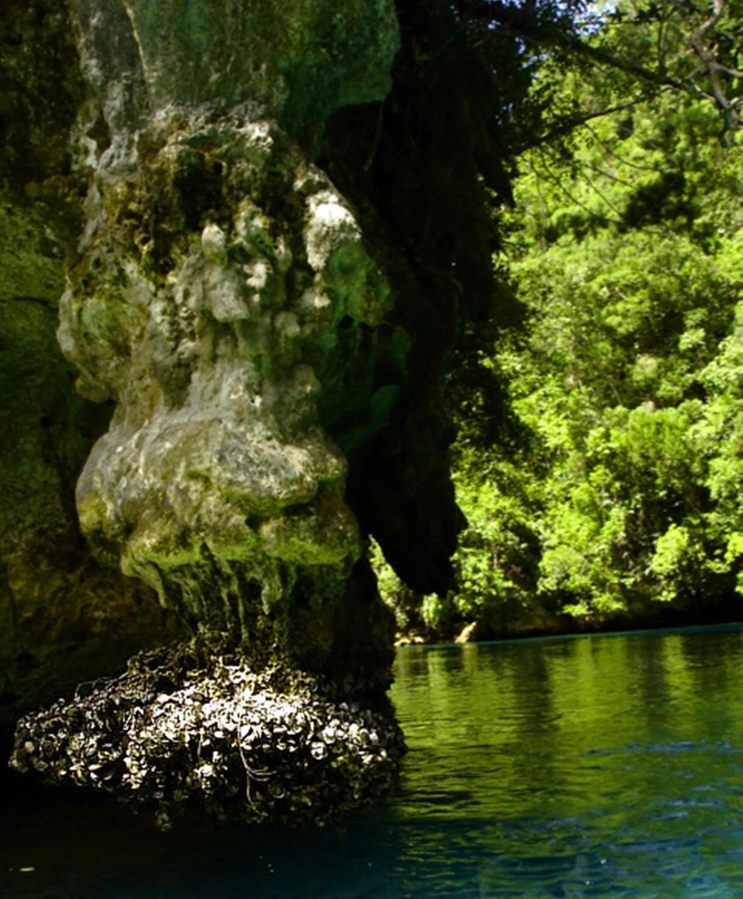Facade/entrance in Club Tara Island Resort