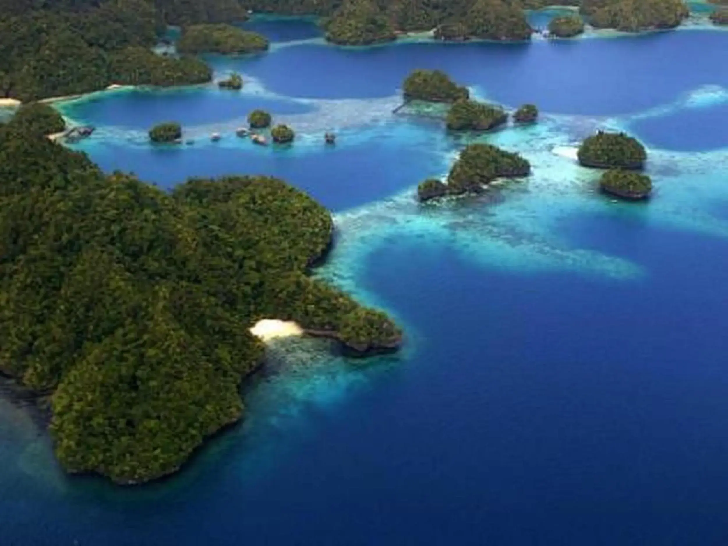 Bird's eye view in Club Tara Island Resort Bird's eye view in Club Tara Island Resort