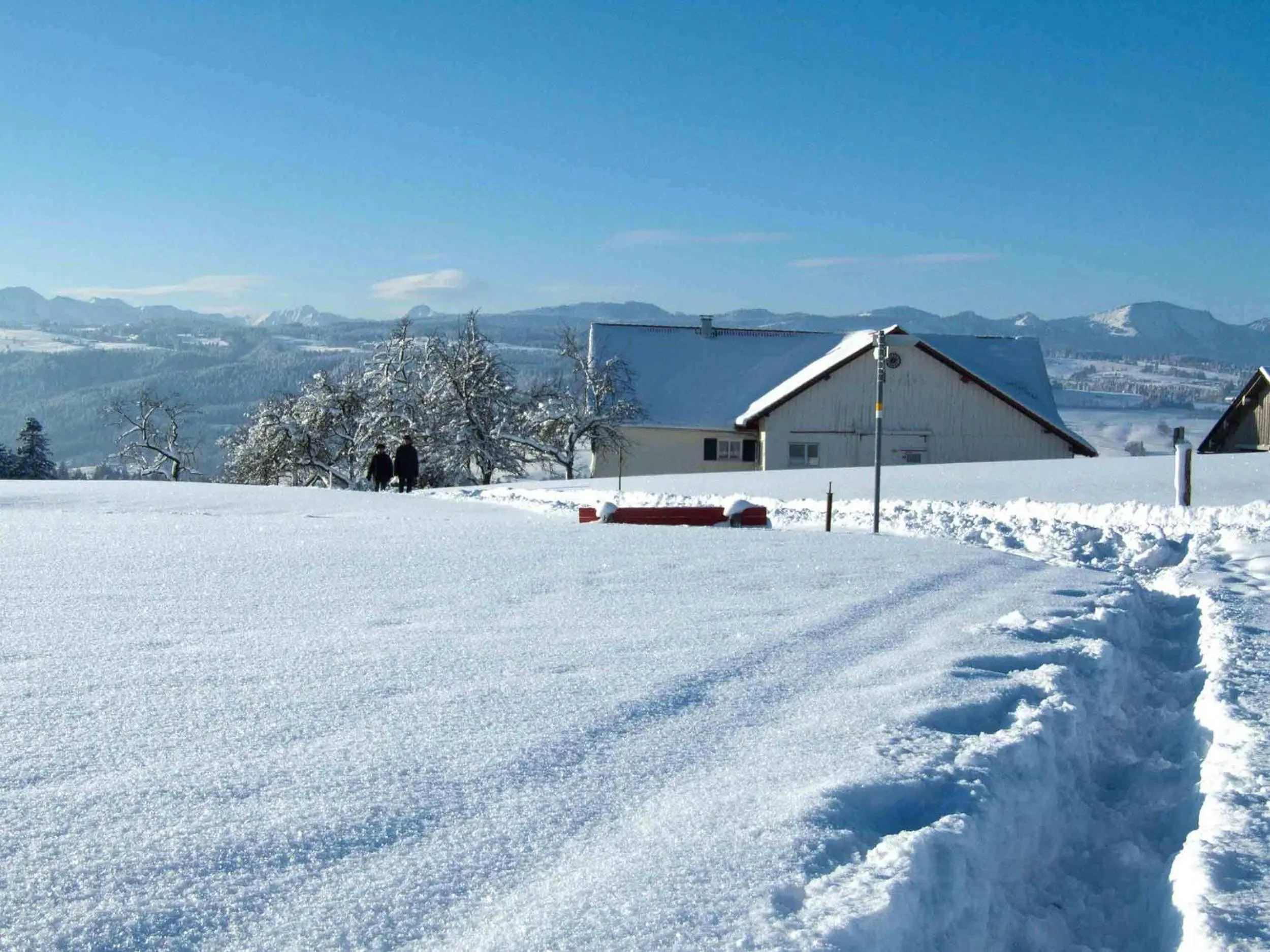 Natural landscape in Hotel Allgäu Garni