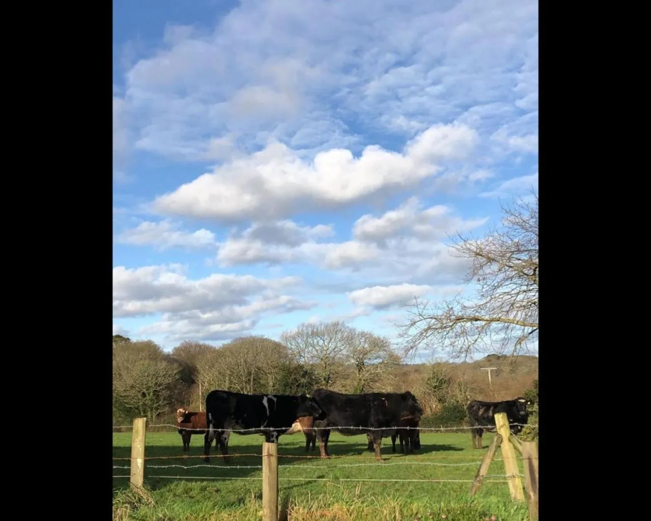 View (from property/room) in Morley's