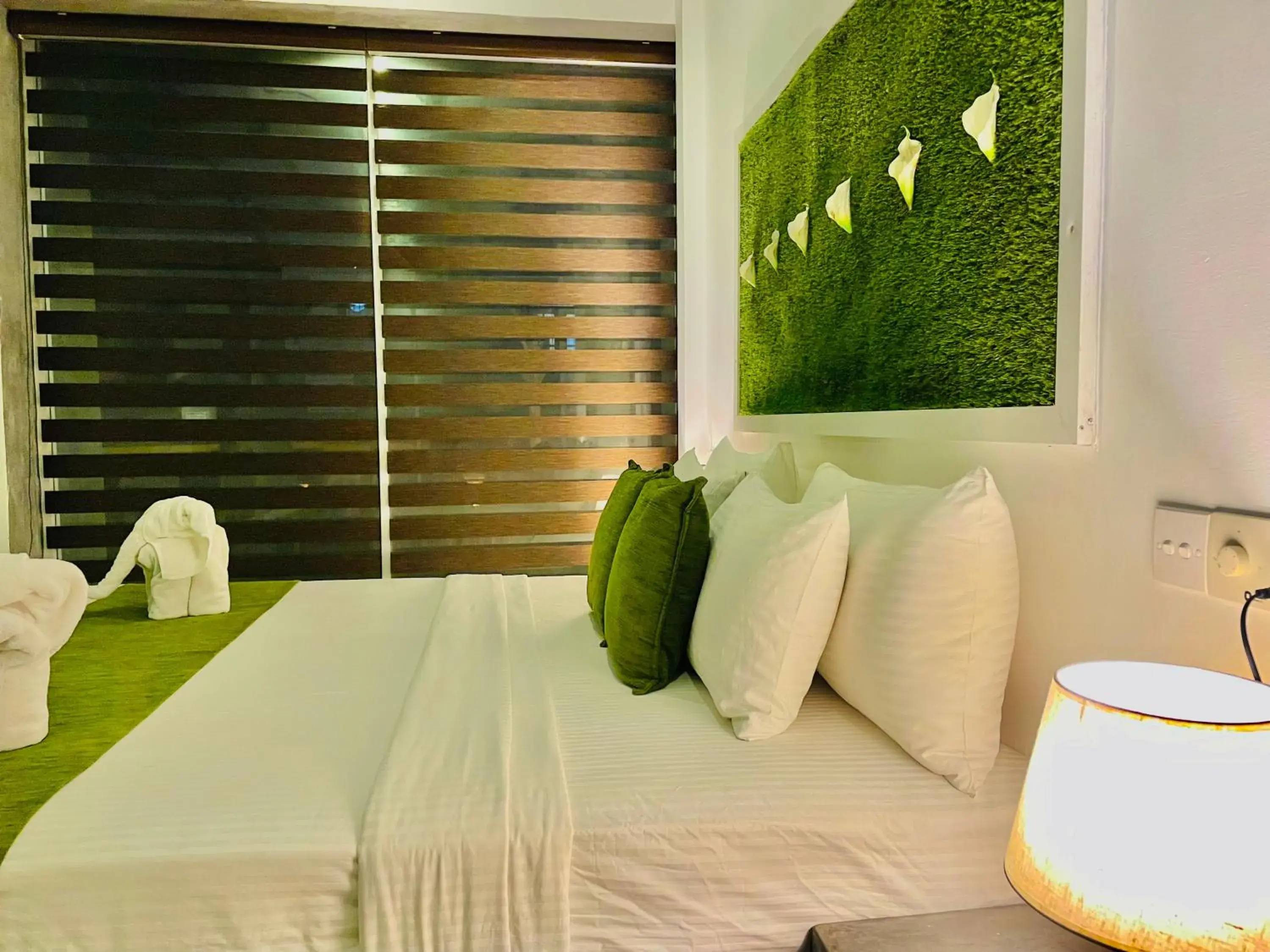 Bed in 8 Plus Motels Bed in 8 Plus Motels