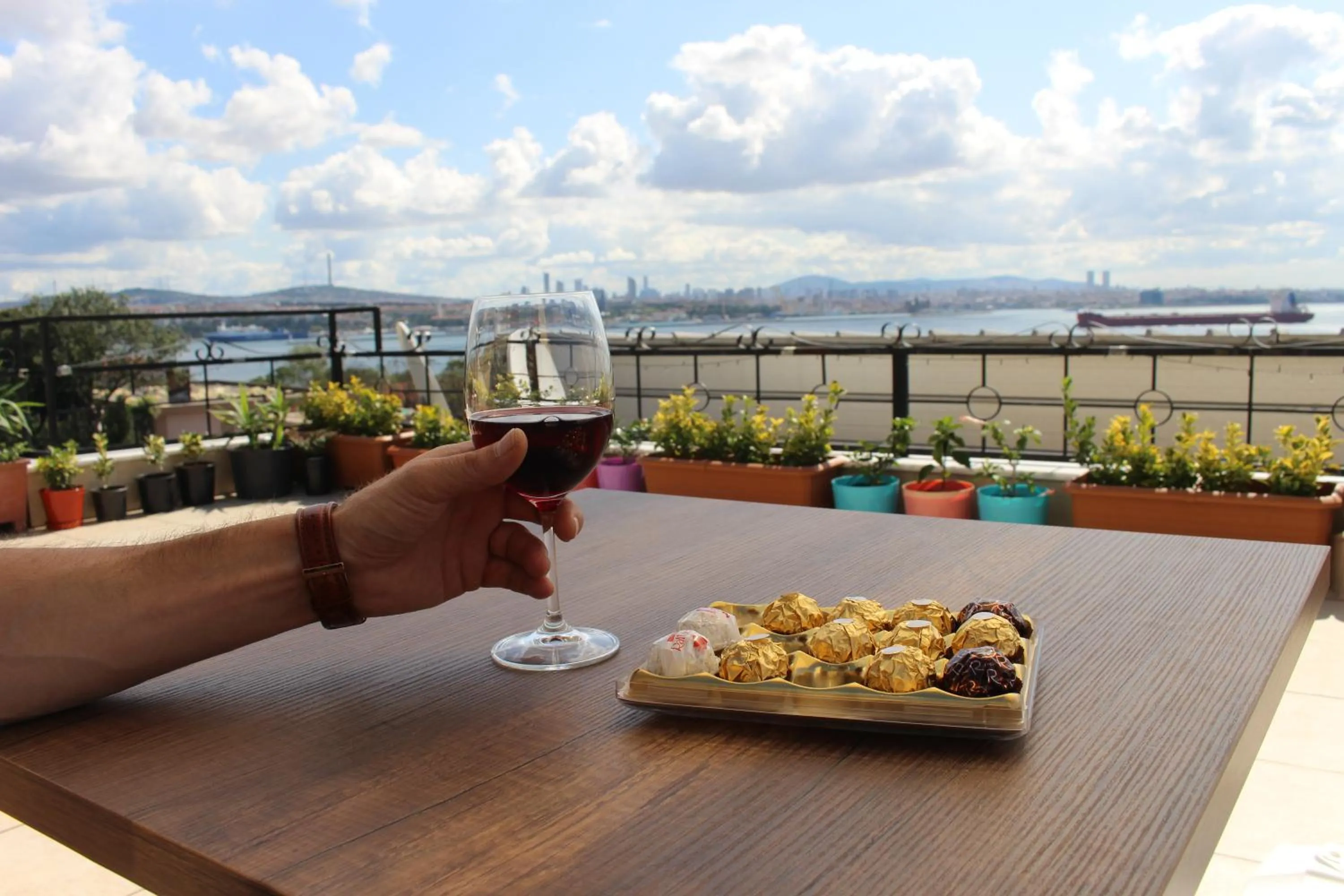 Balcony/Terrace in Hotel Peninsula