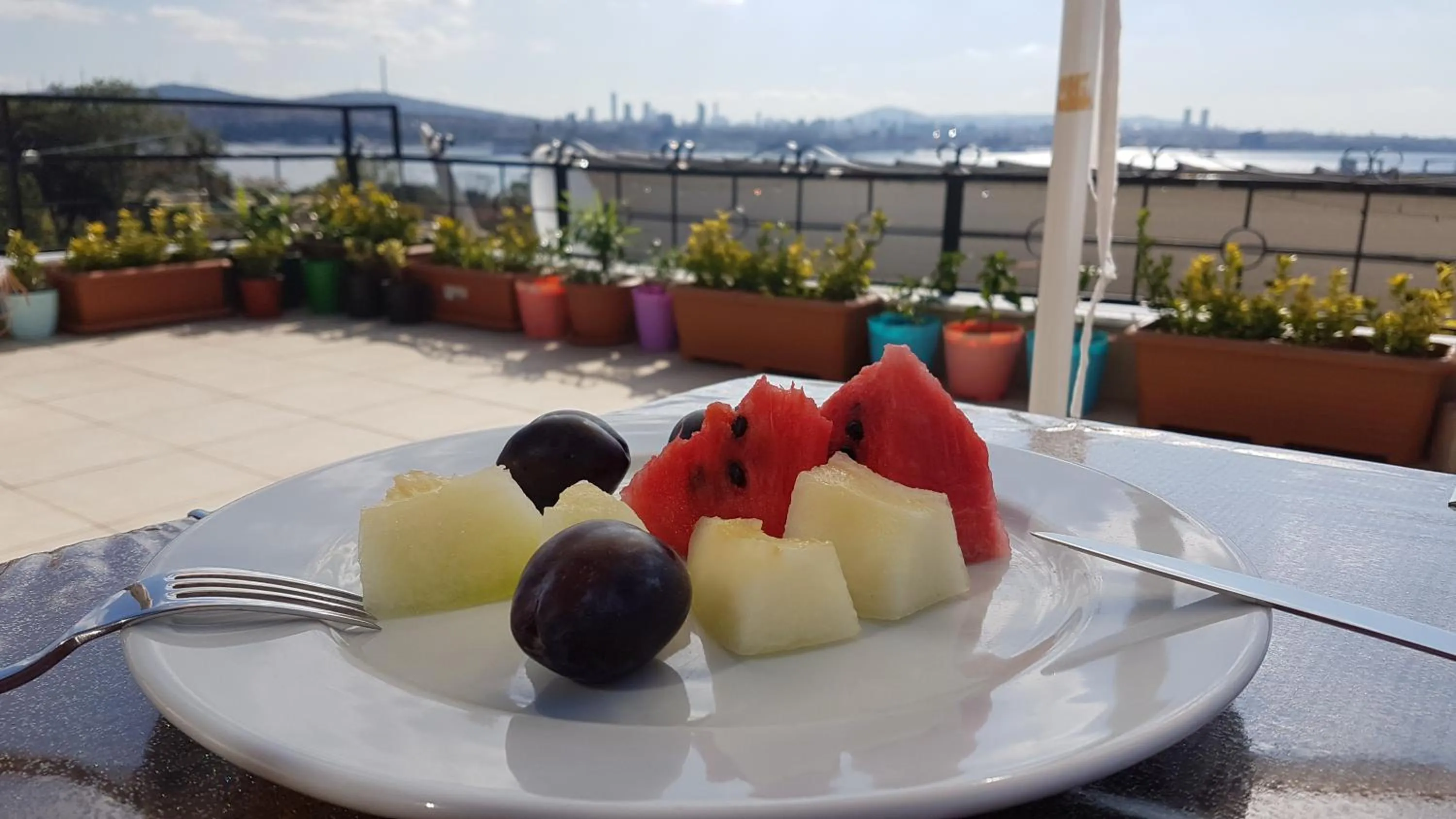 Balcony/Terrace in Hotel Peninsula