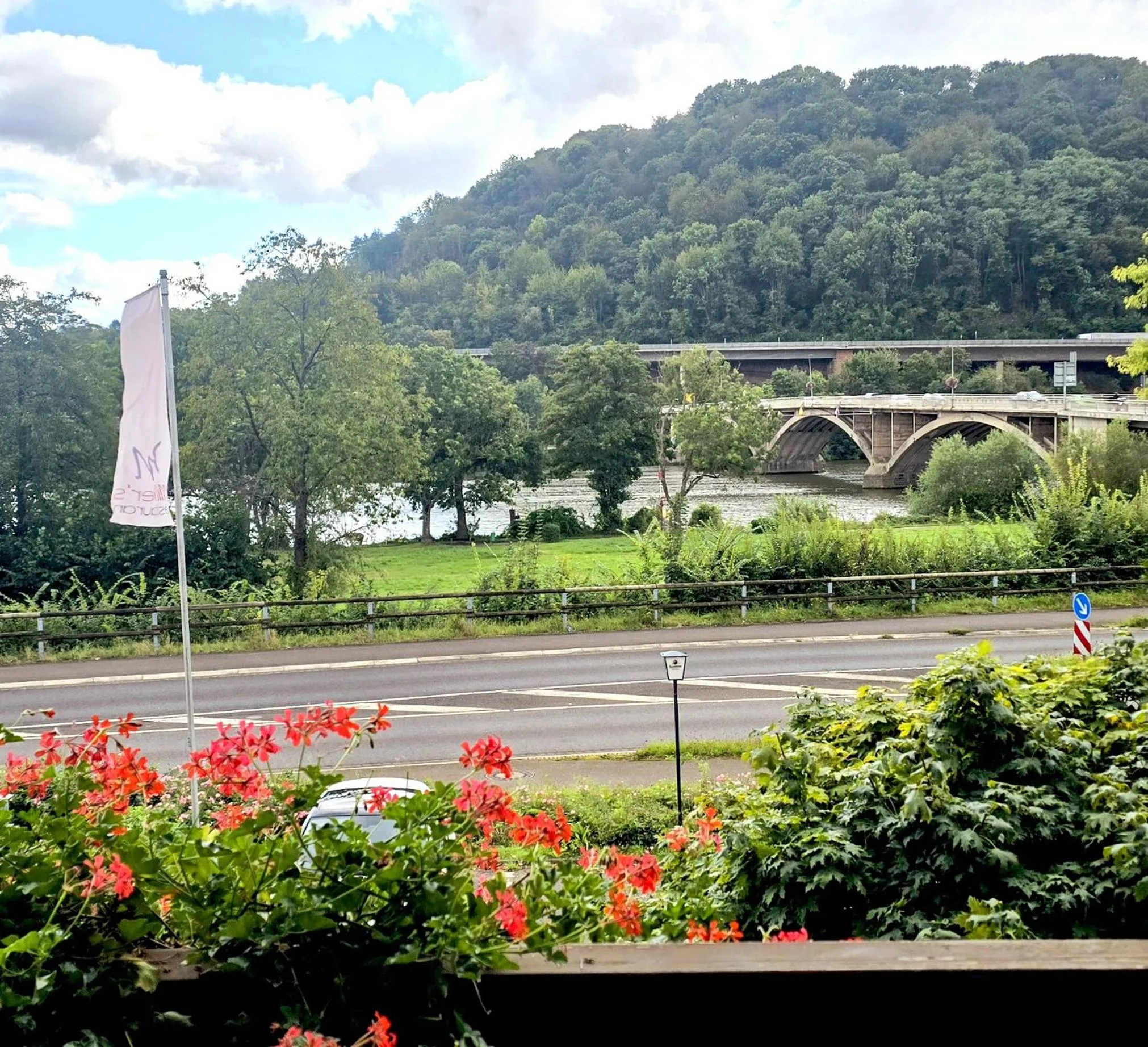 Natural landscape in Hotel zur Moselbrücke