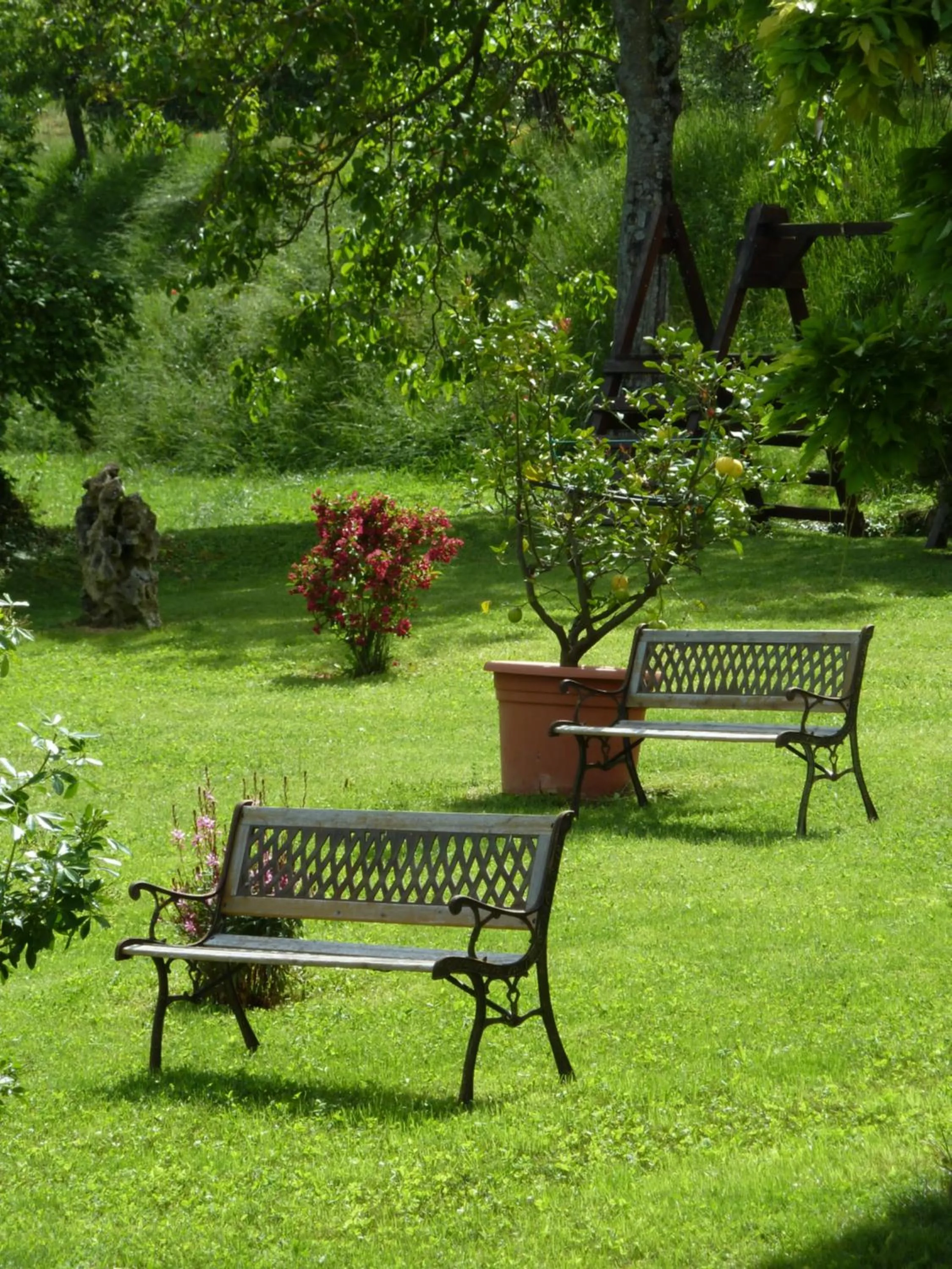Garden view in Agriturismo San Giovanni
