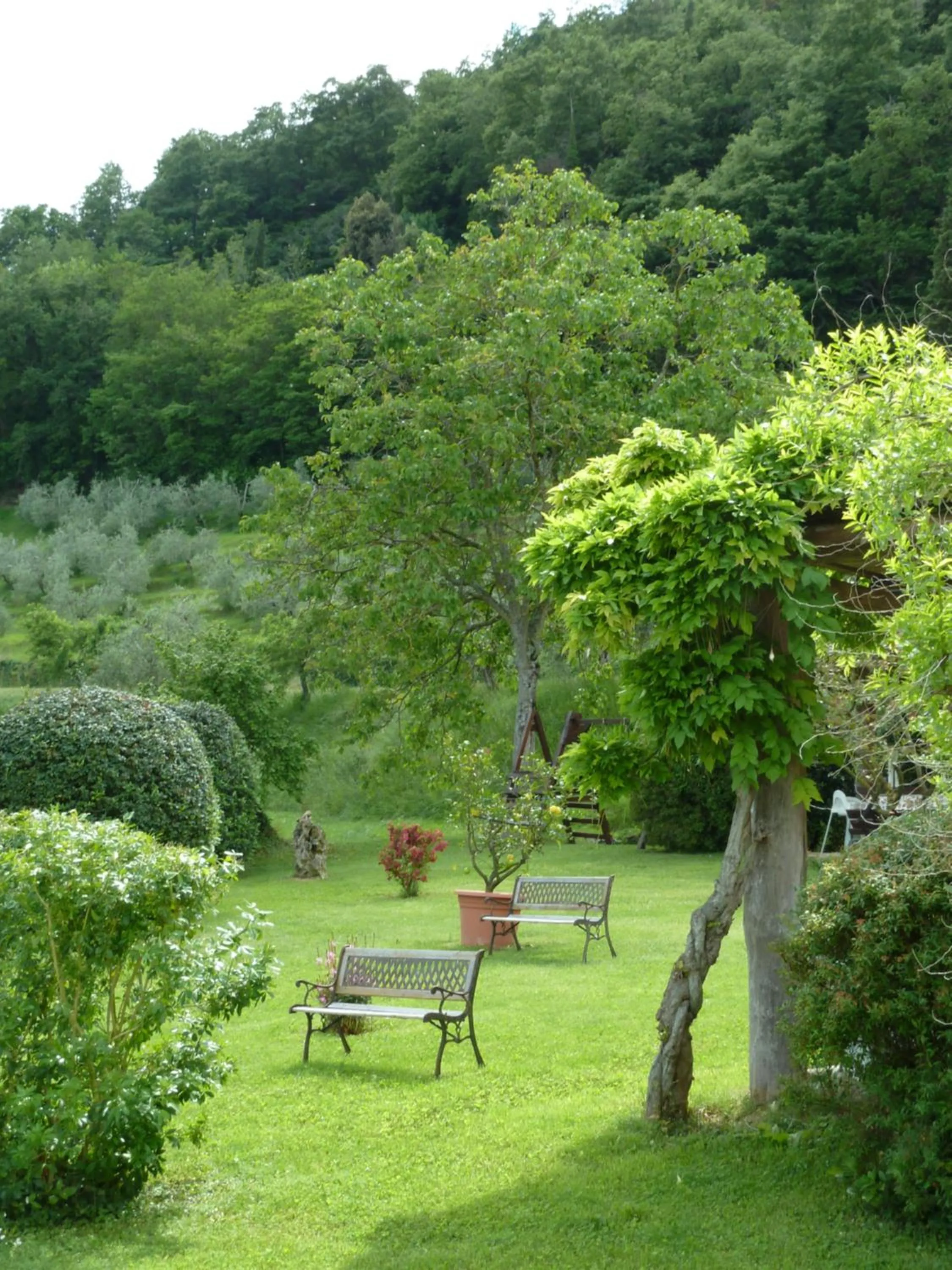 Garden view in Agriturismo San Giovanni