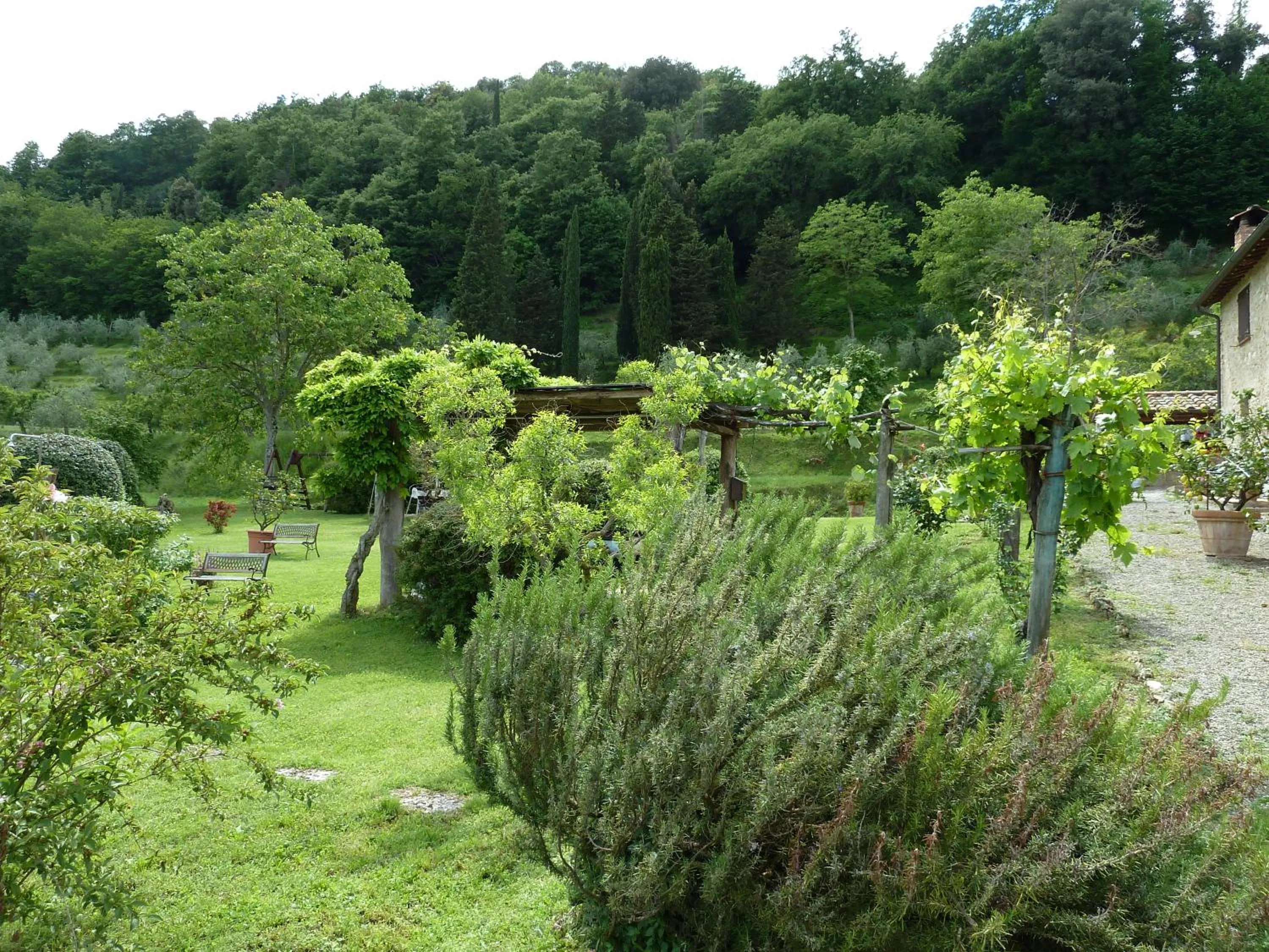 Garden view in Agriturismo San Giovanni