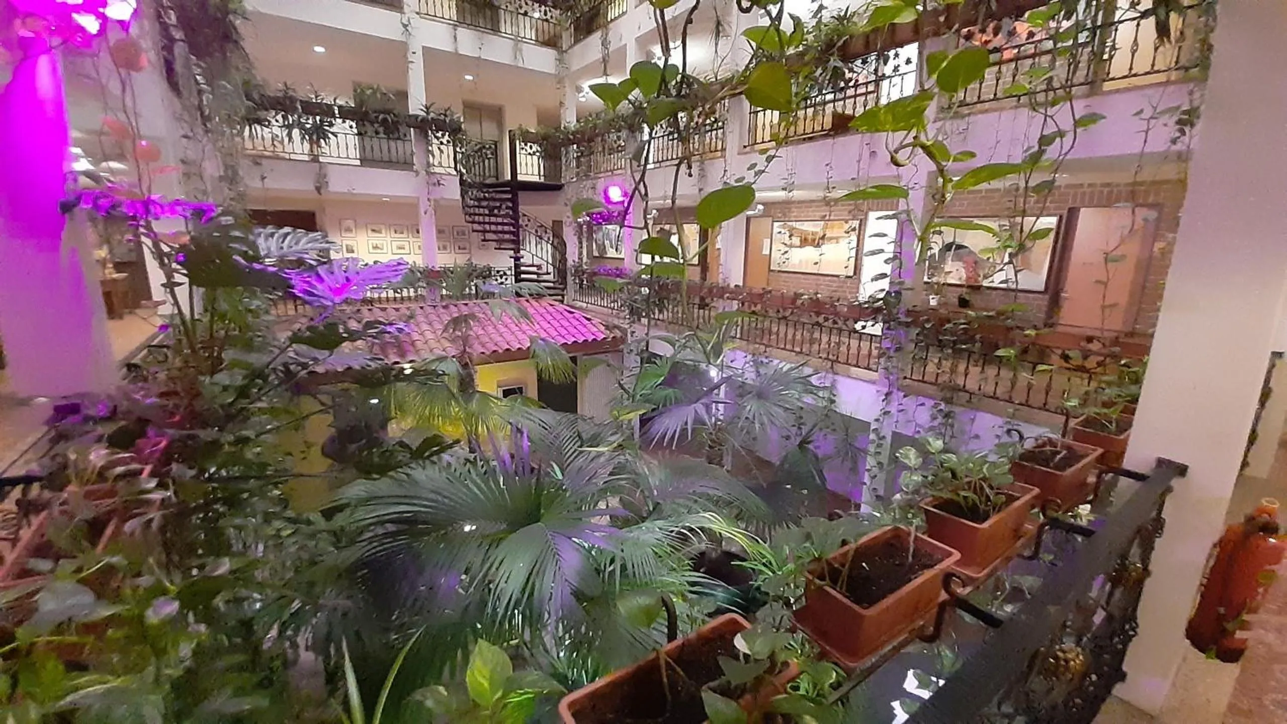 Patio in Solitaire Hotel