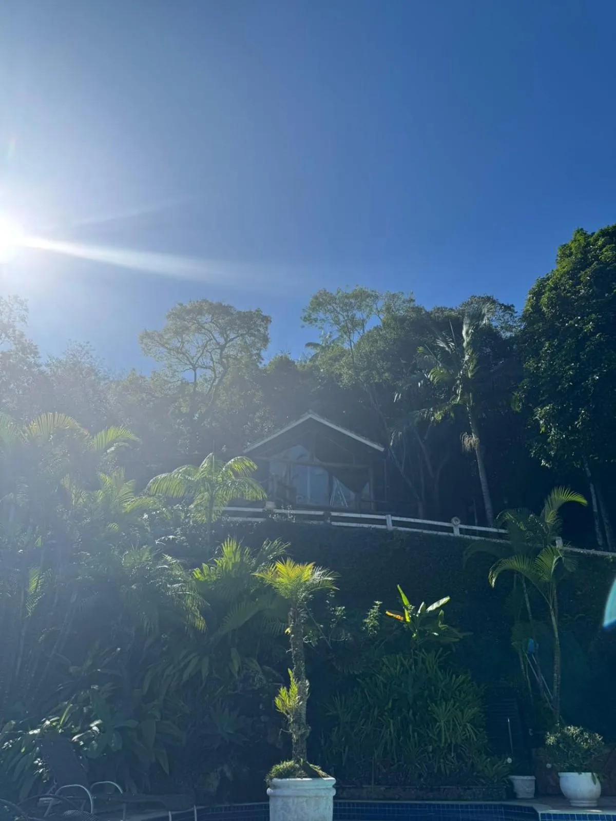 Garden view in POUSADA APOEMA PETRÓPOLIS-Rj