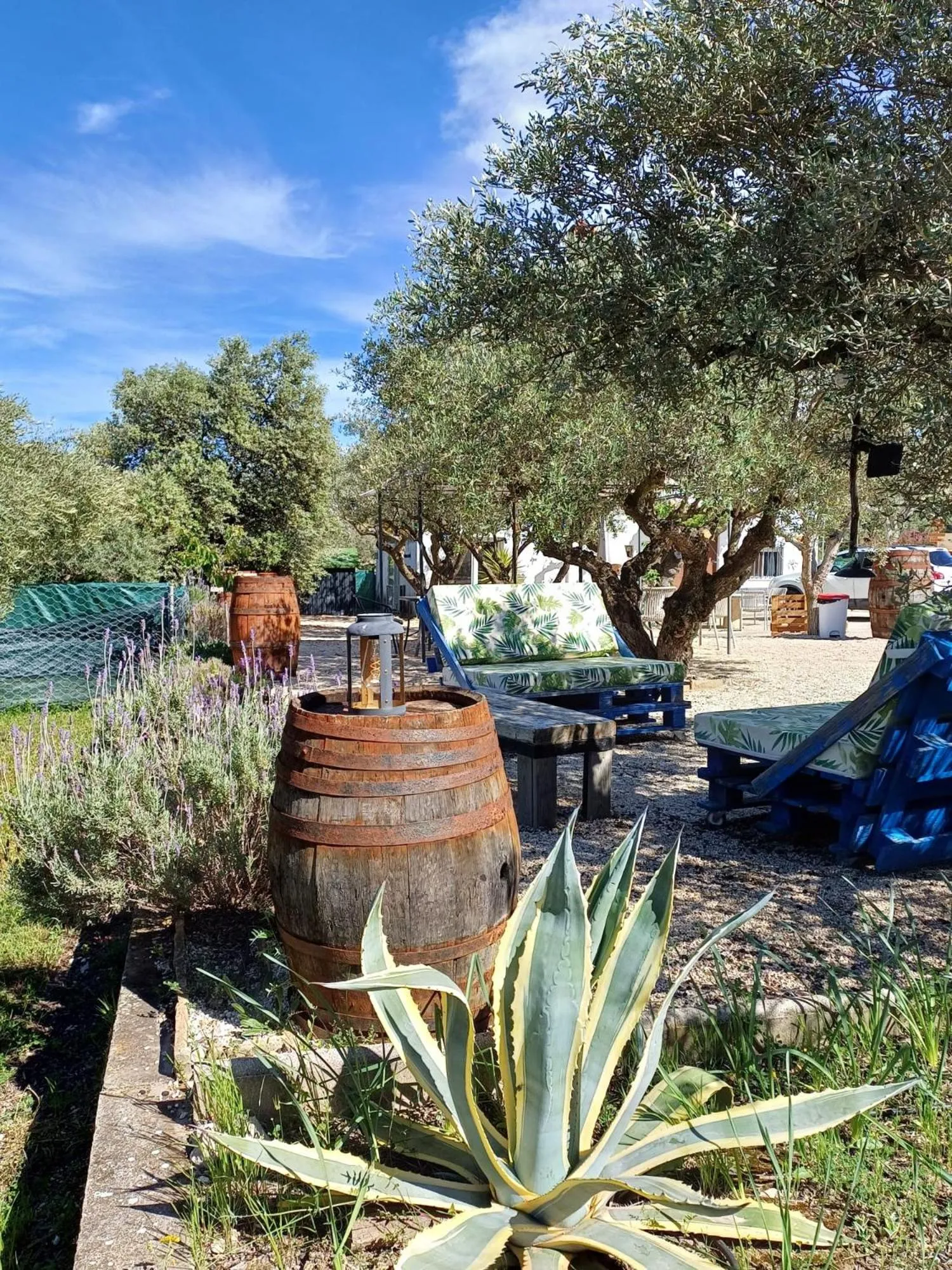 Garden in B&B Casa Vitalidad