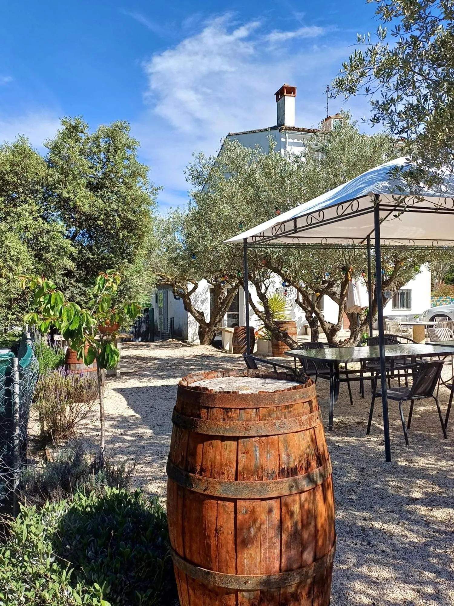 Garden in B&B Casa Vitalidad