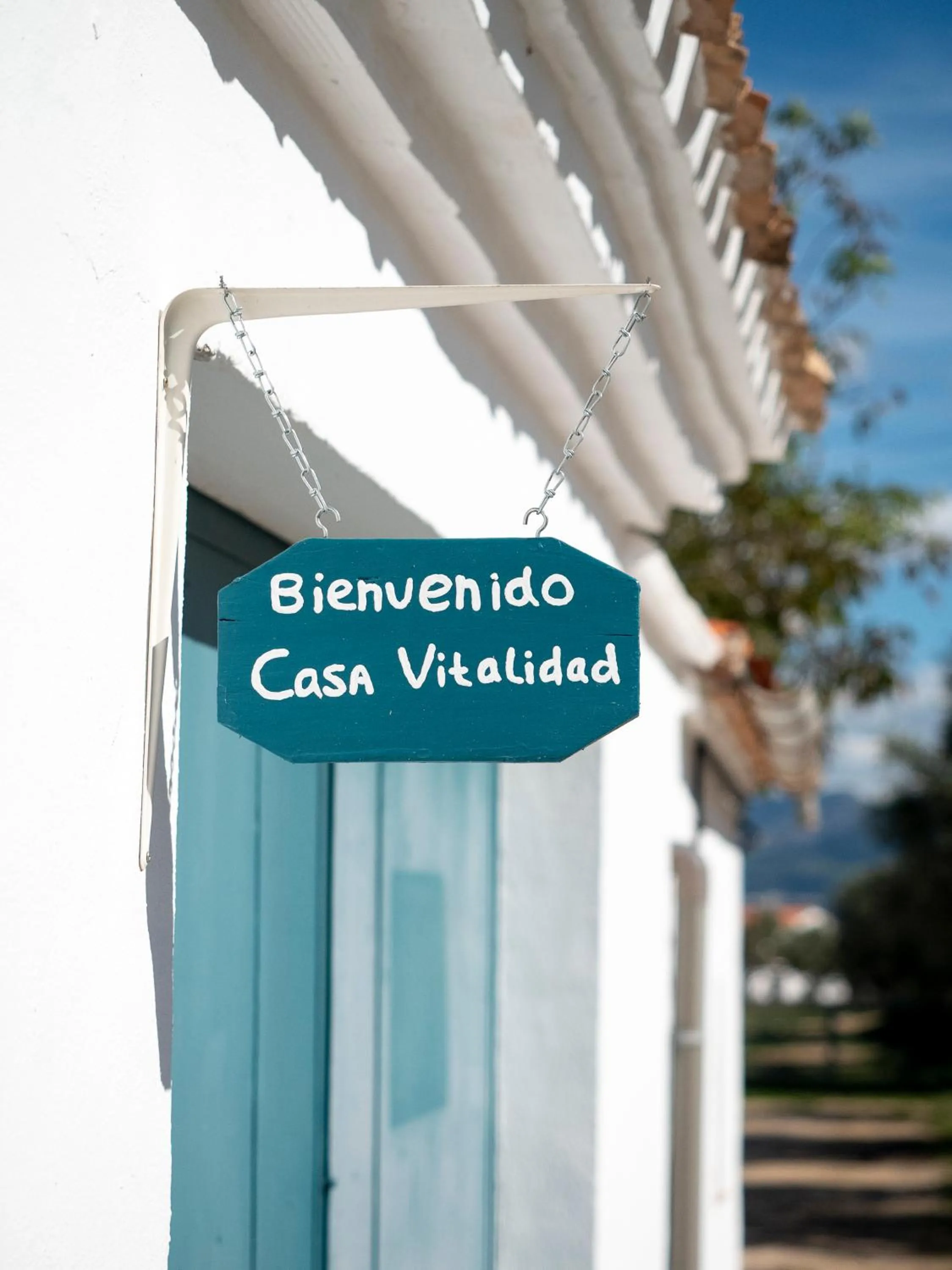 Patio in B&B Casa Vitalidad