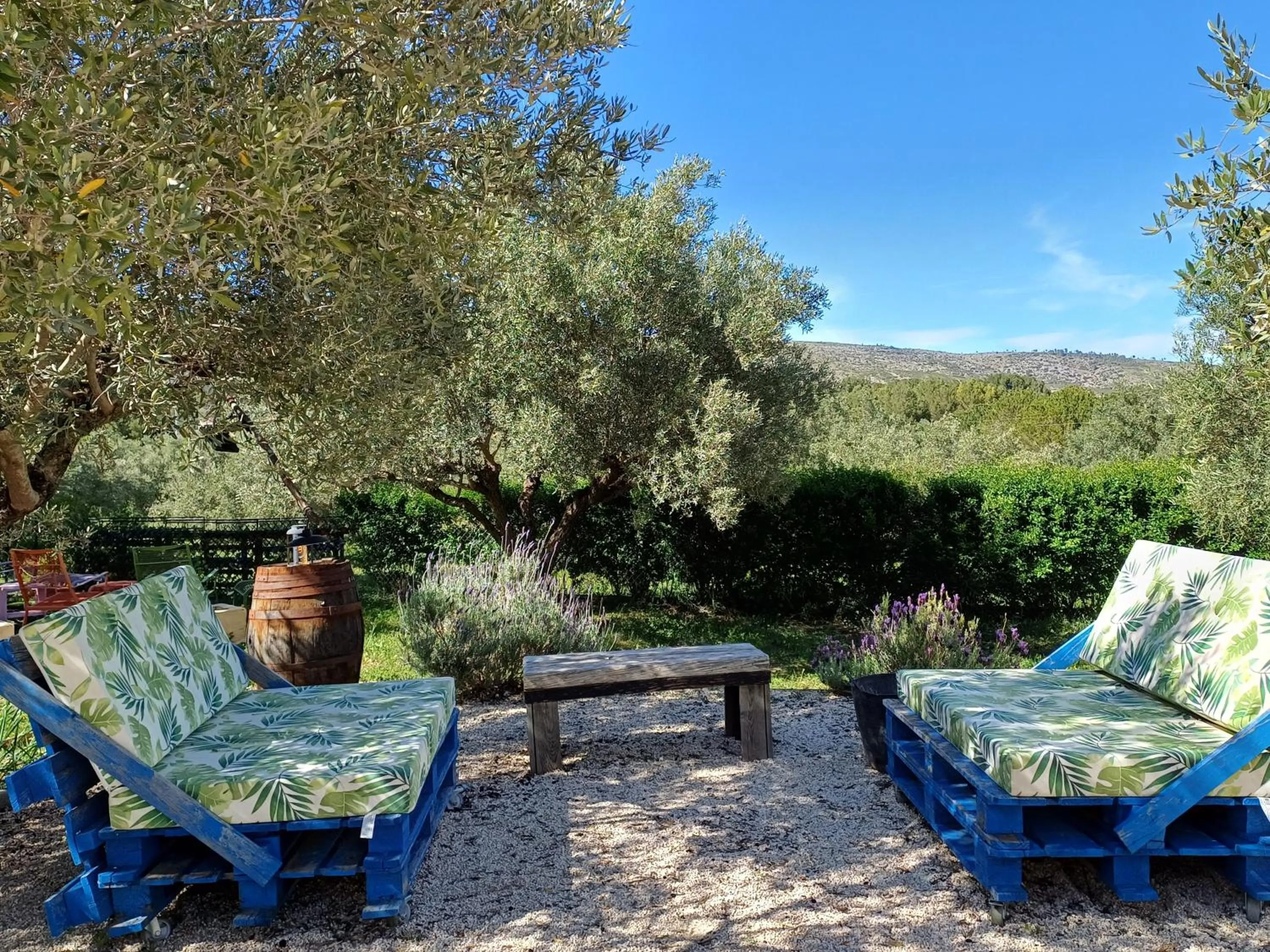 Garden in B&B Casa Vitalidad