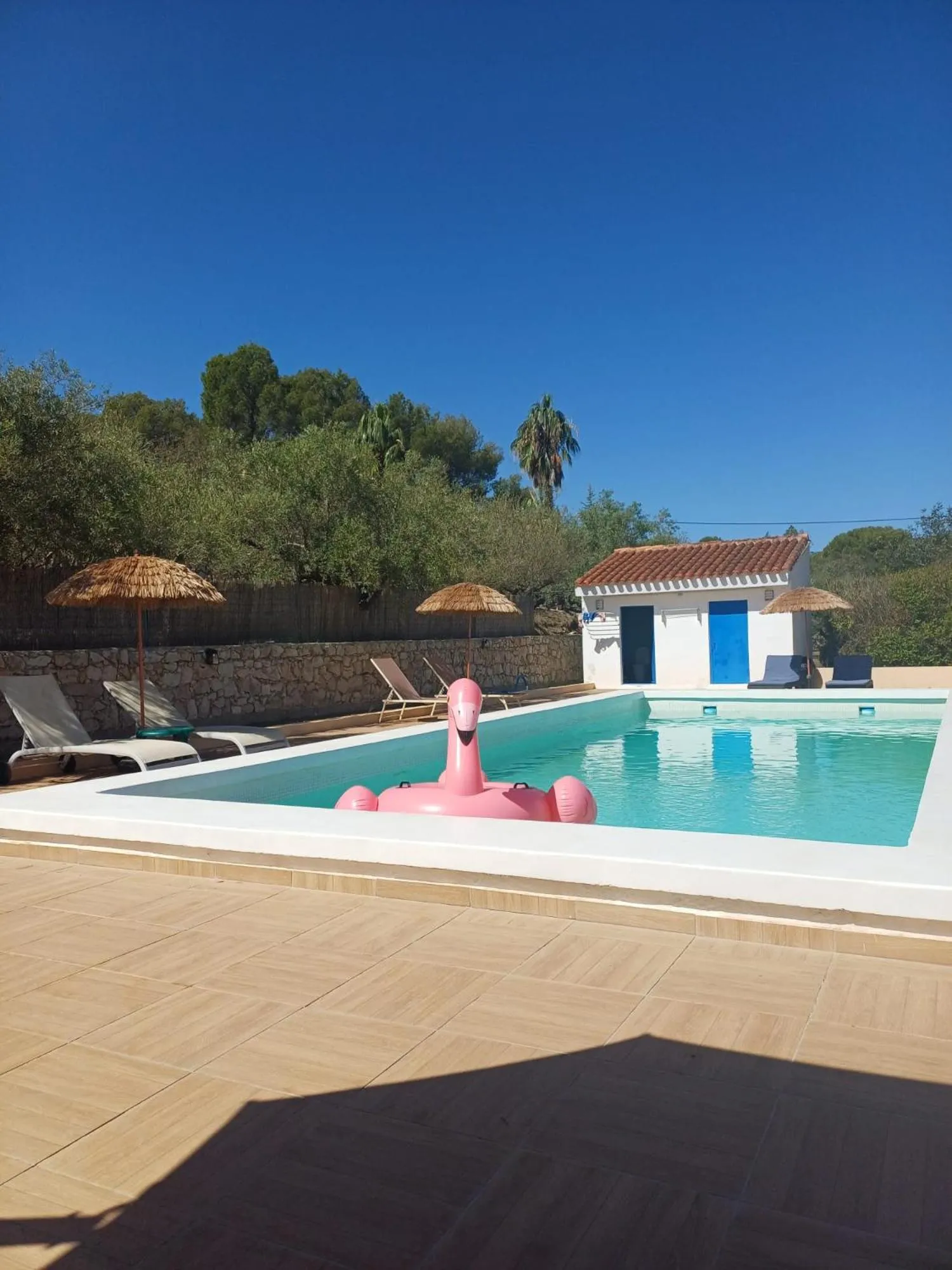 Pool view in B&B Casa Vitalidad