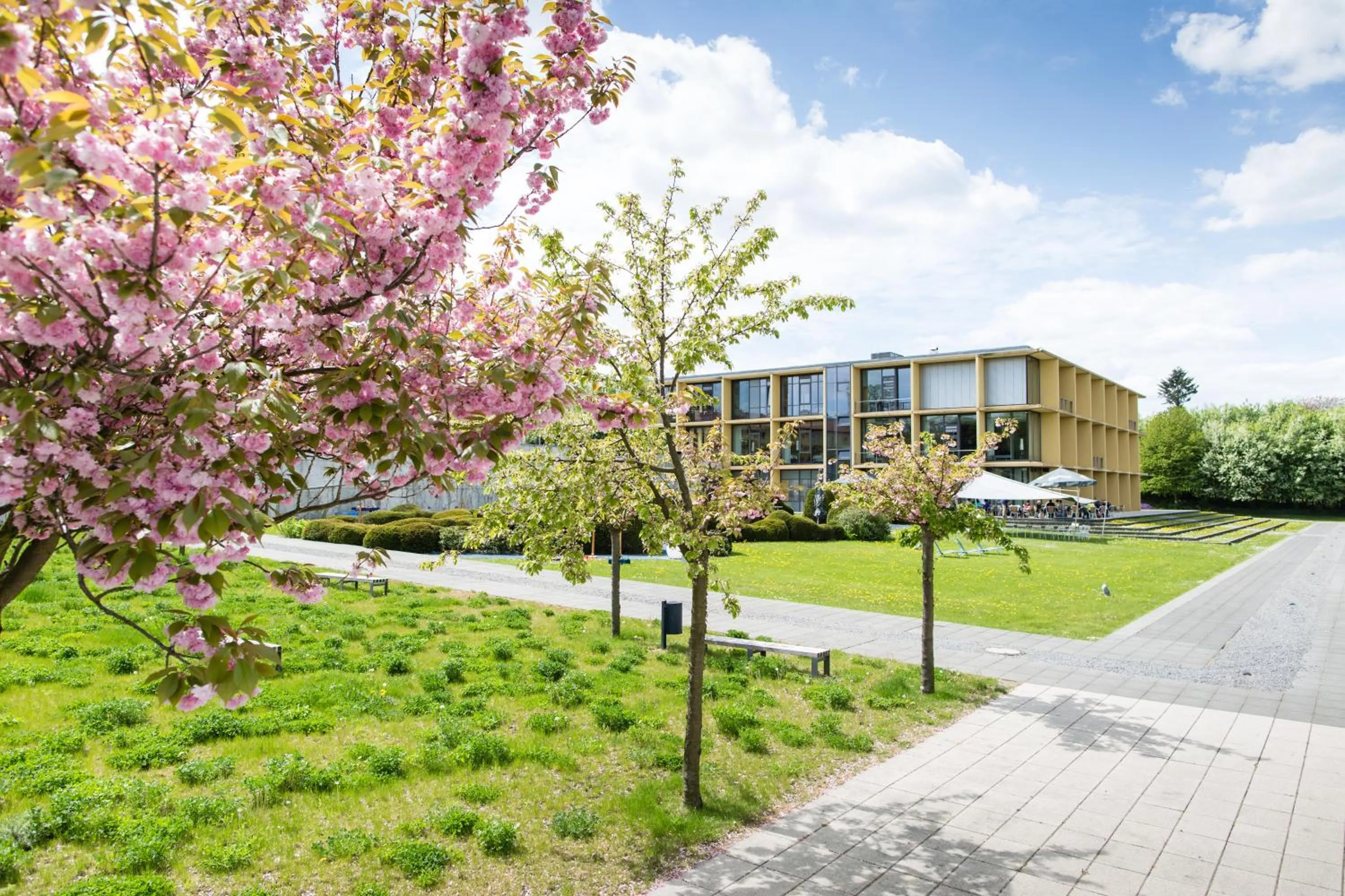 Property building in rugs Hotel am Schlosspark Lichtenwalde