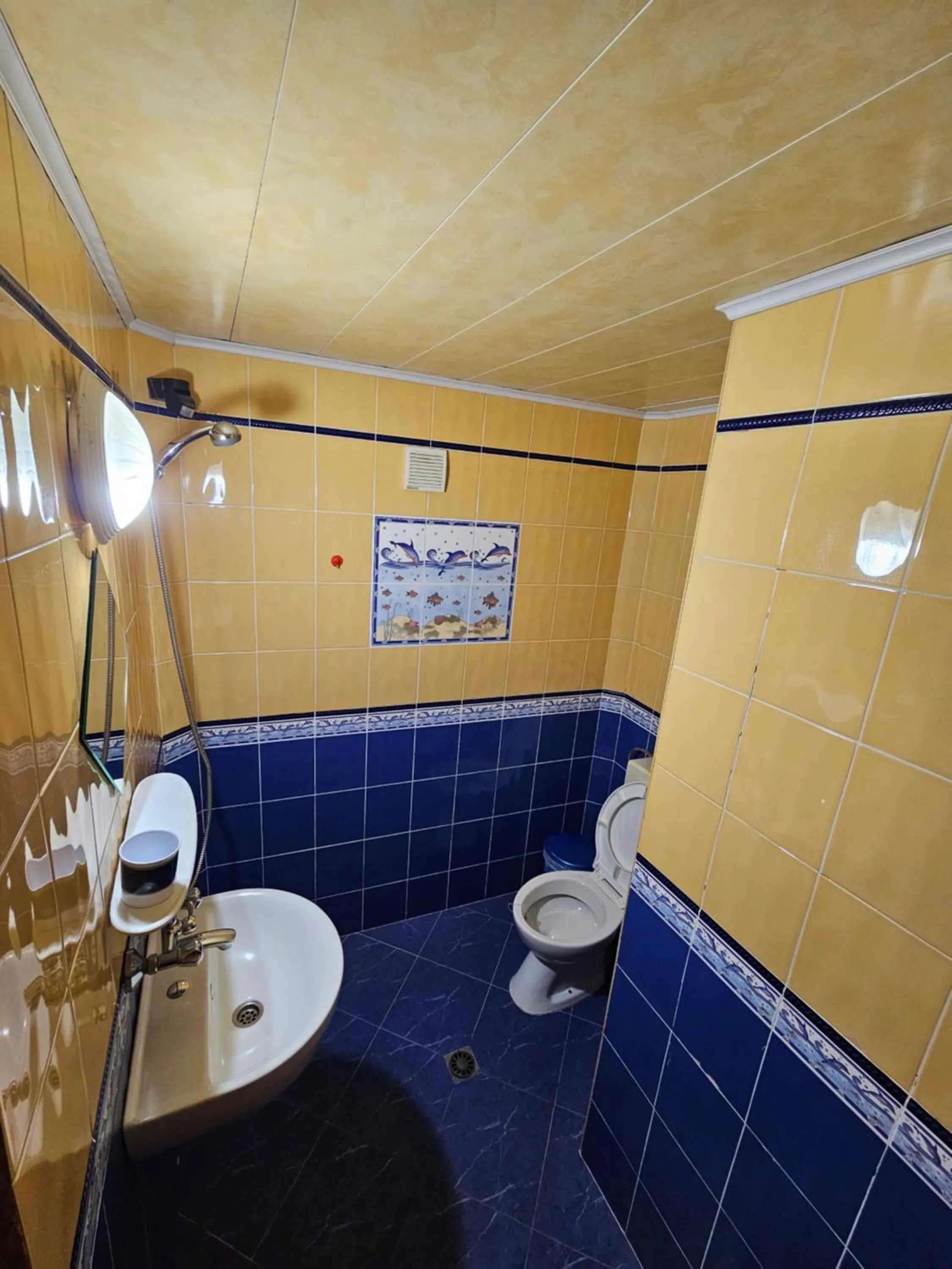 Shower in Hotel Rai