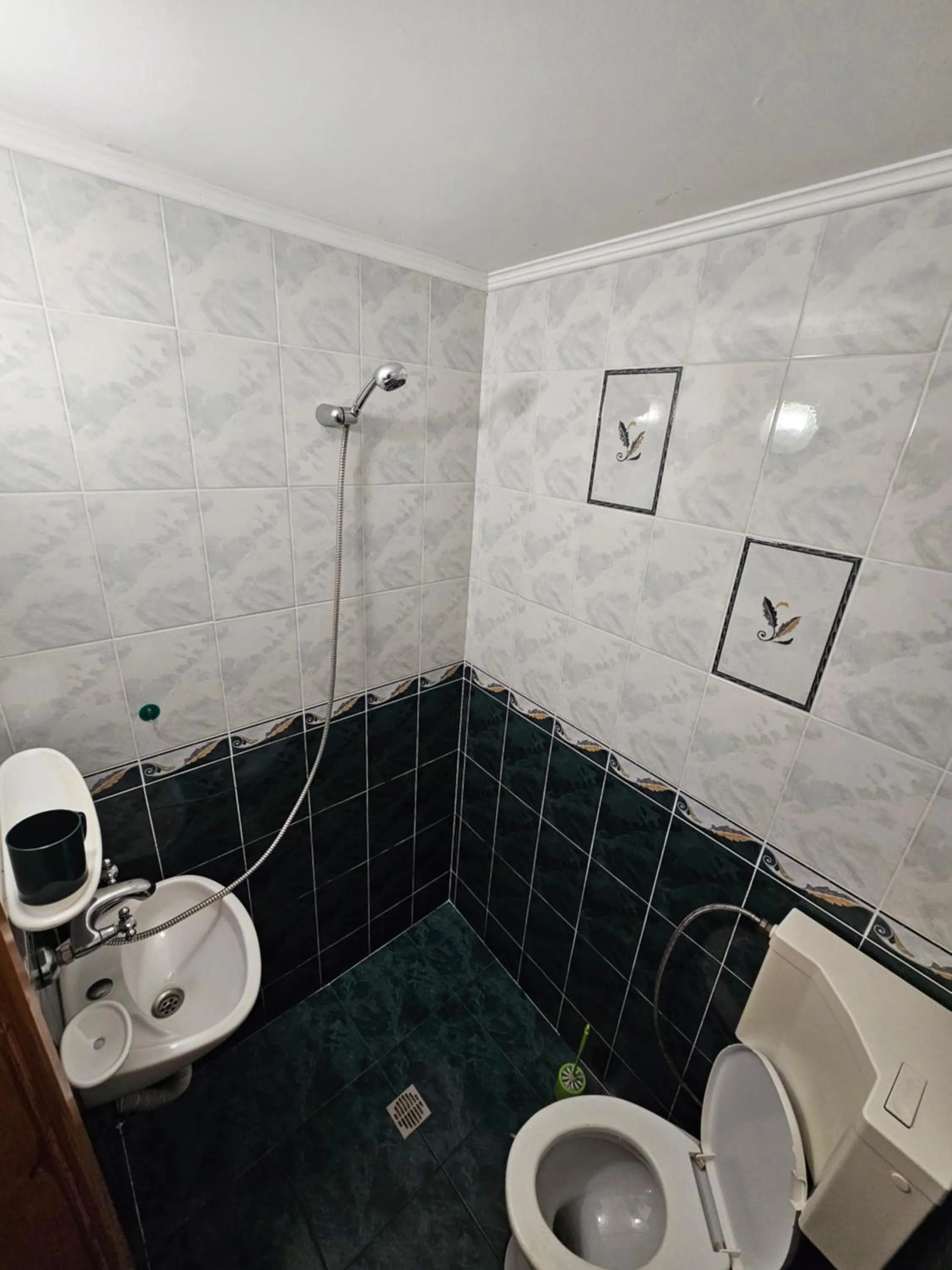Shower in Hotel Rai