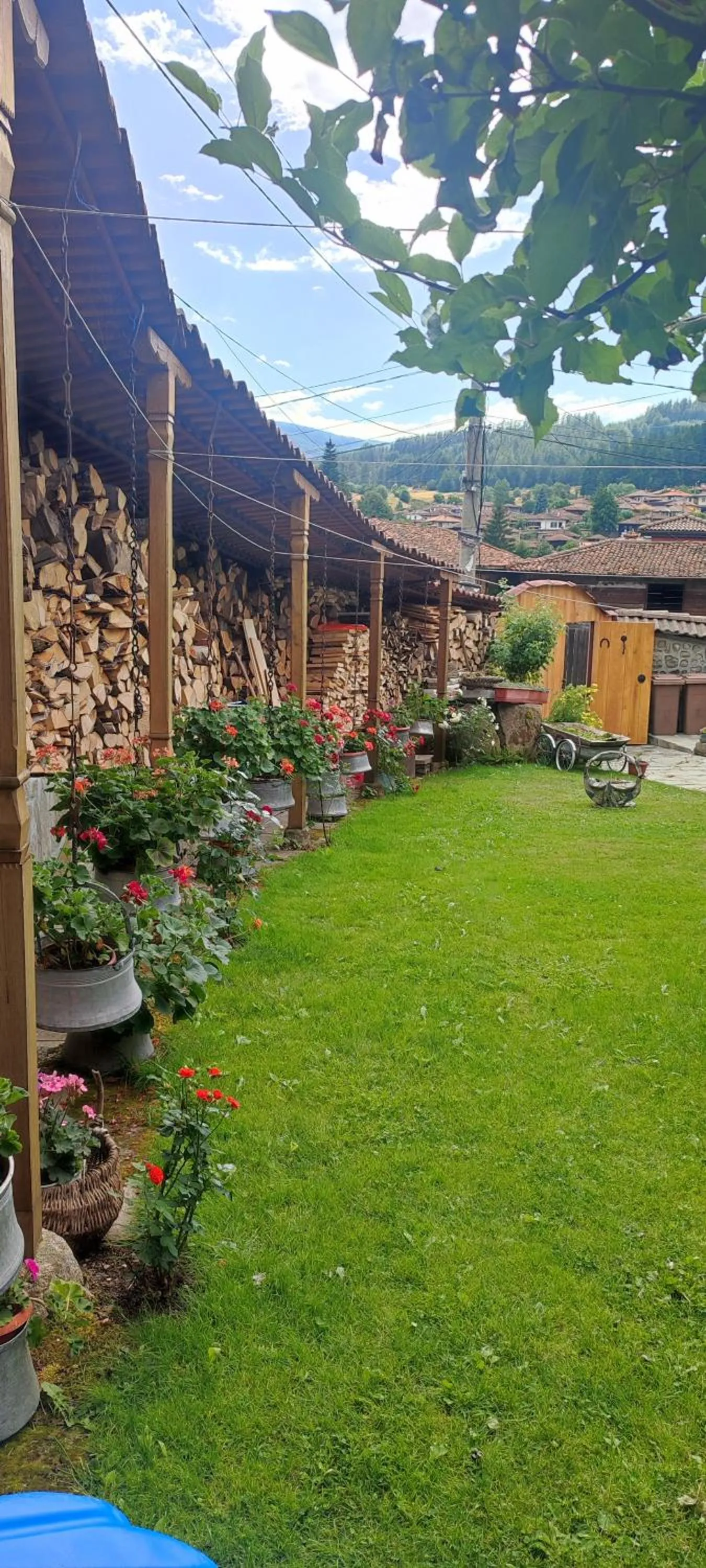 Garden in Hotel Rai