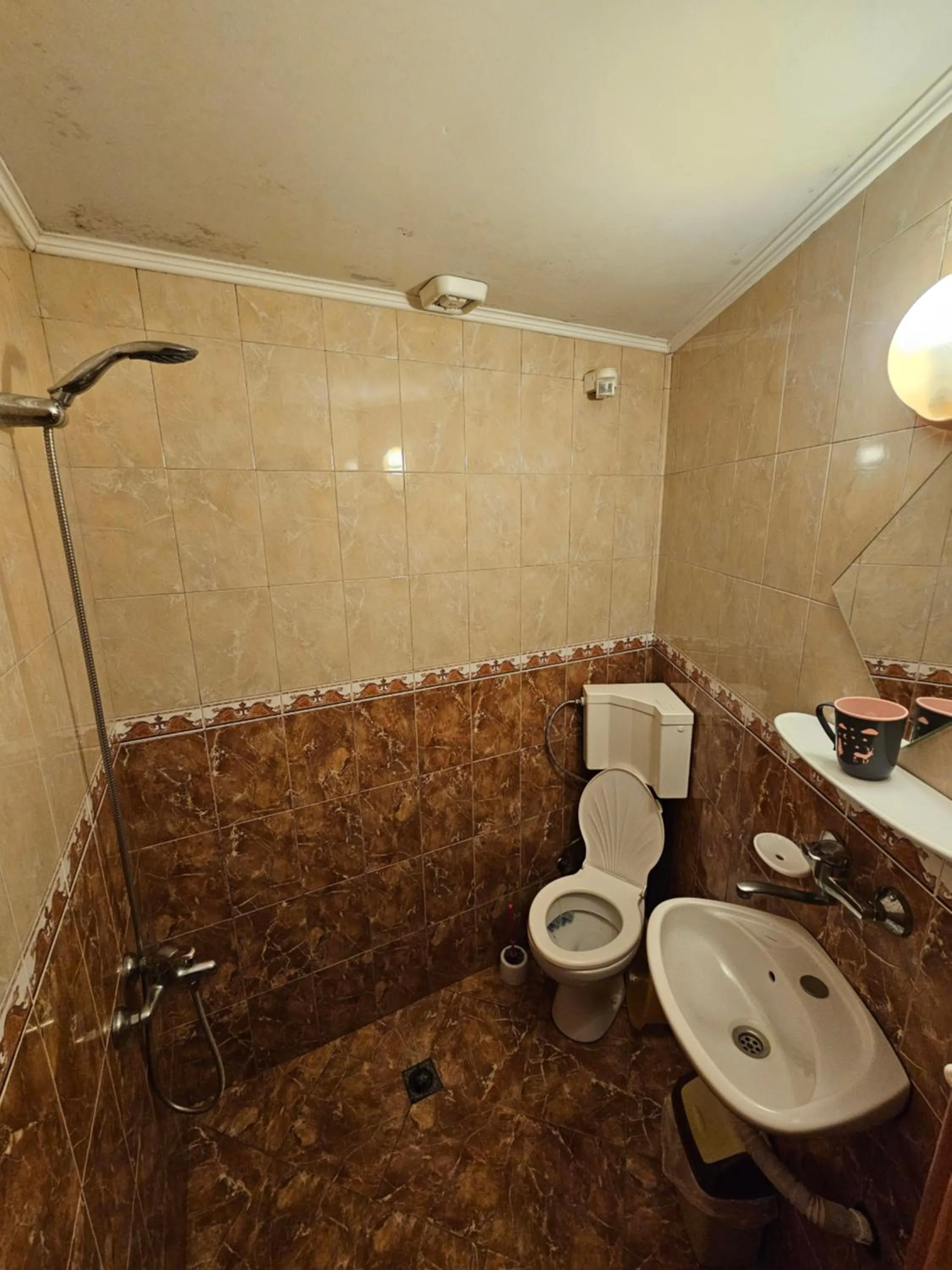 Shower in Hotel Rai