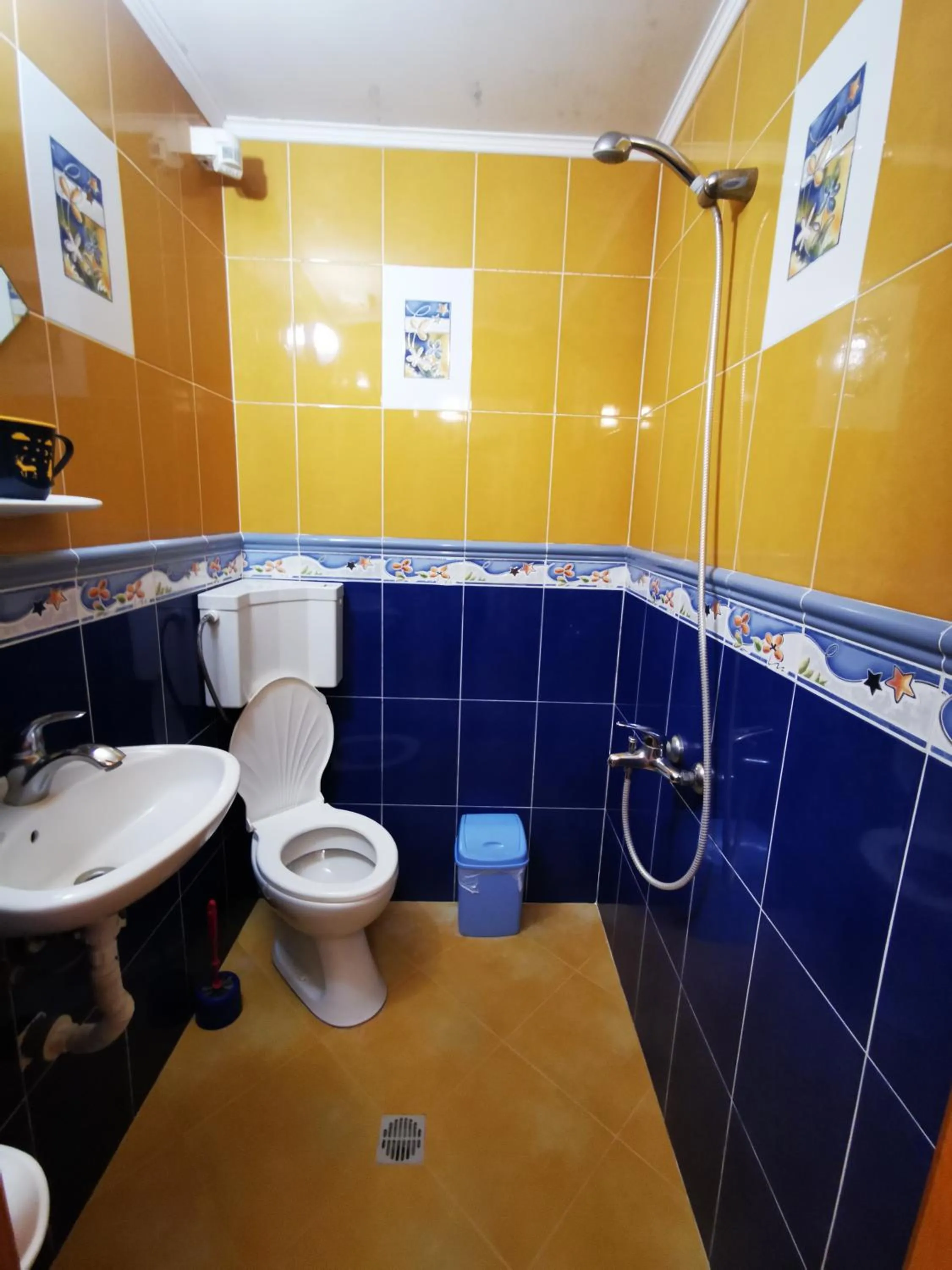 Shower in Hotel Rai