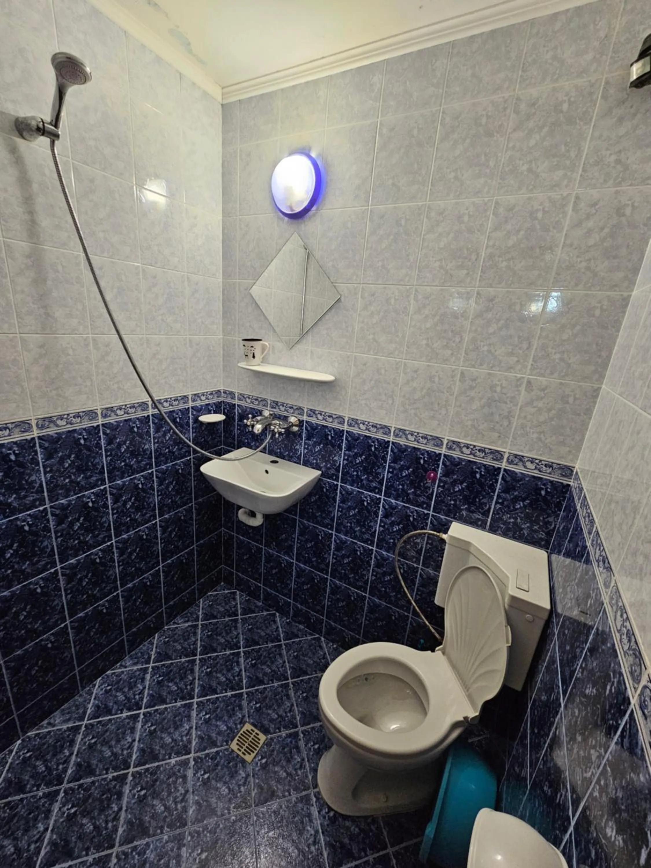 Shower in Hotel Rai