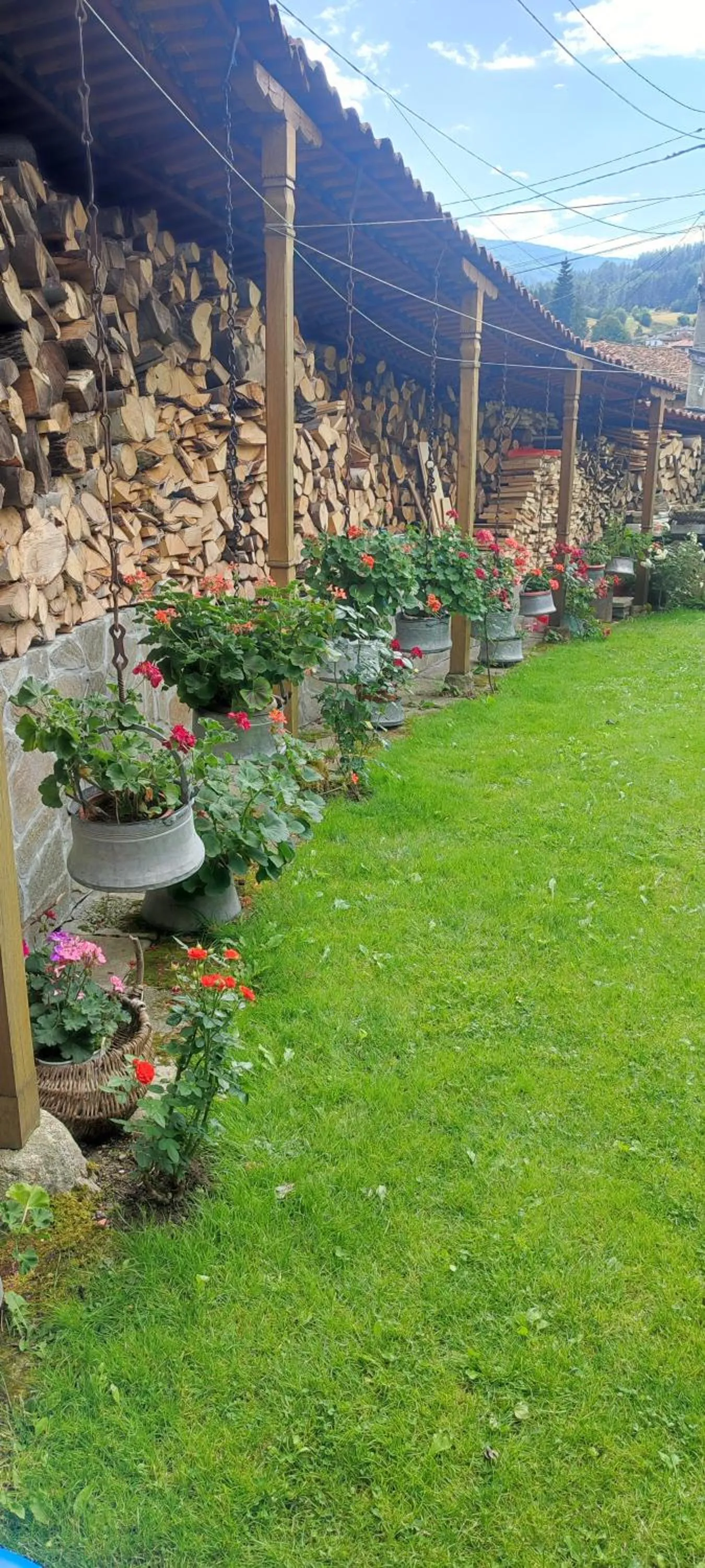 Garden in Hotel Rai