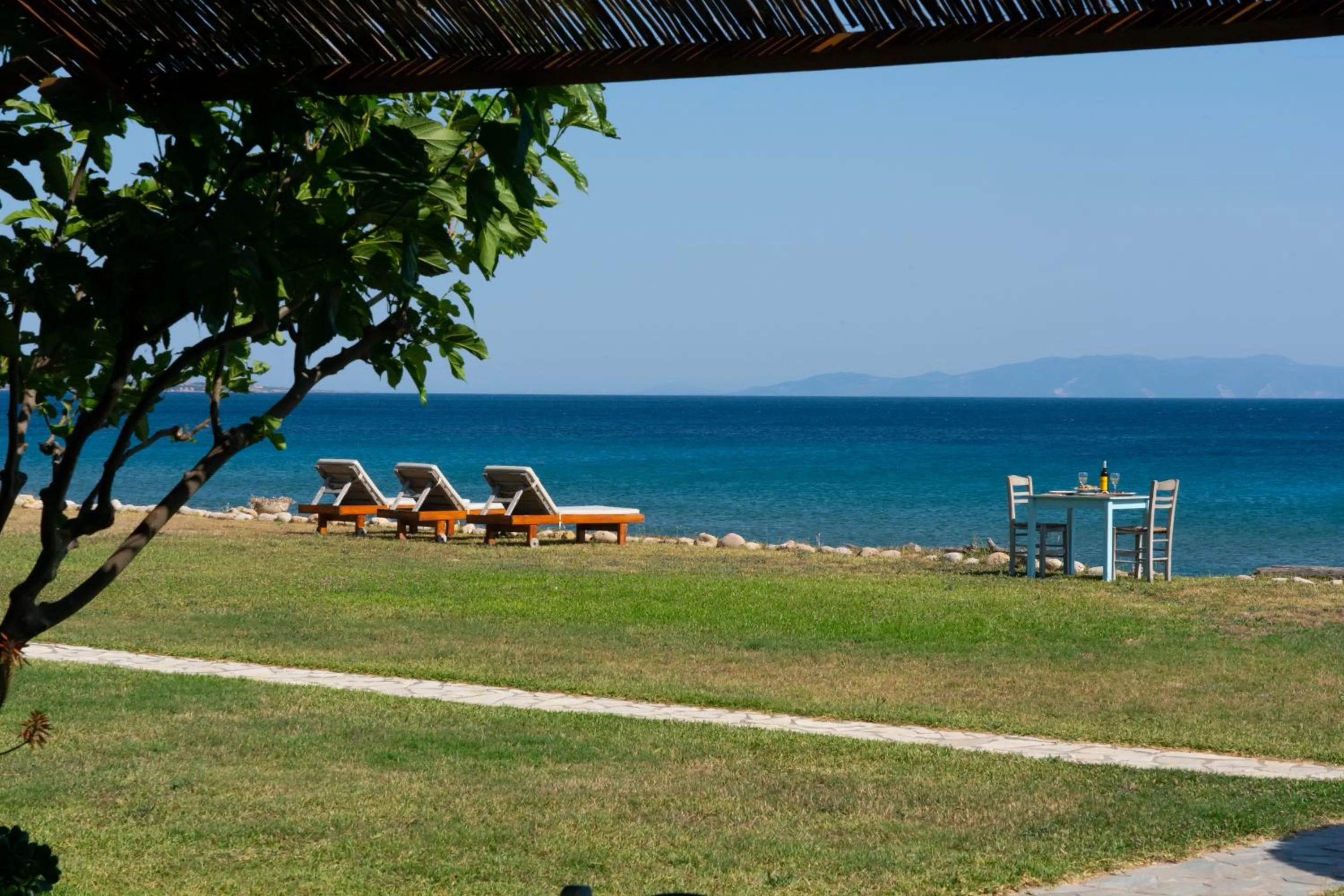 Garden in Chloe Apartments