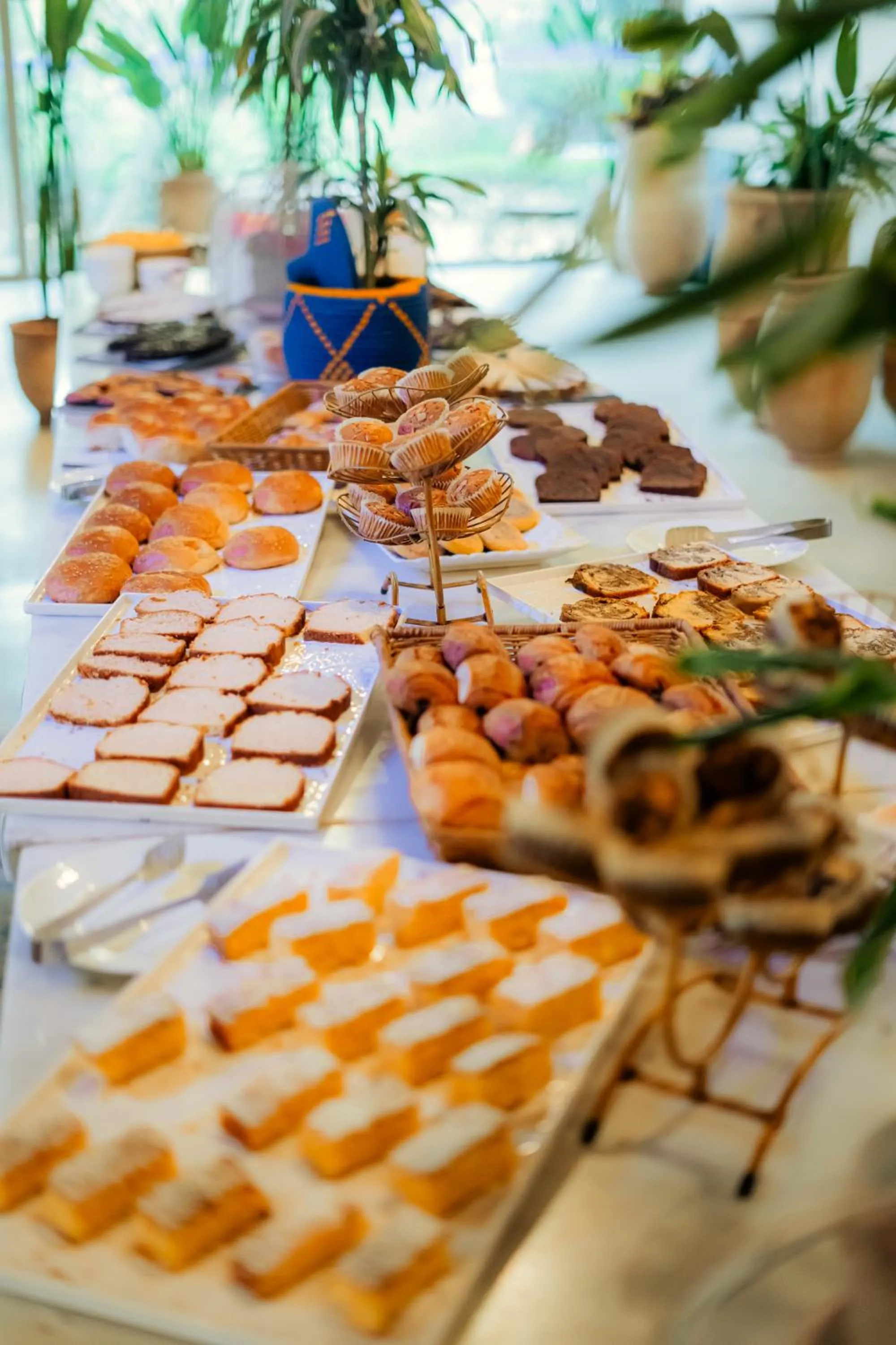 Breakfast in Dakhla Attitude