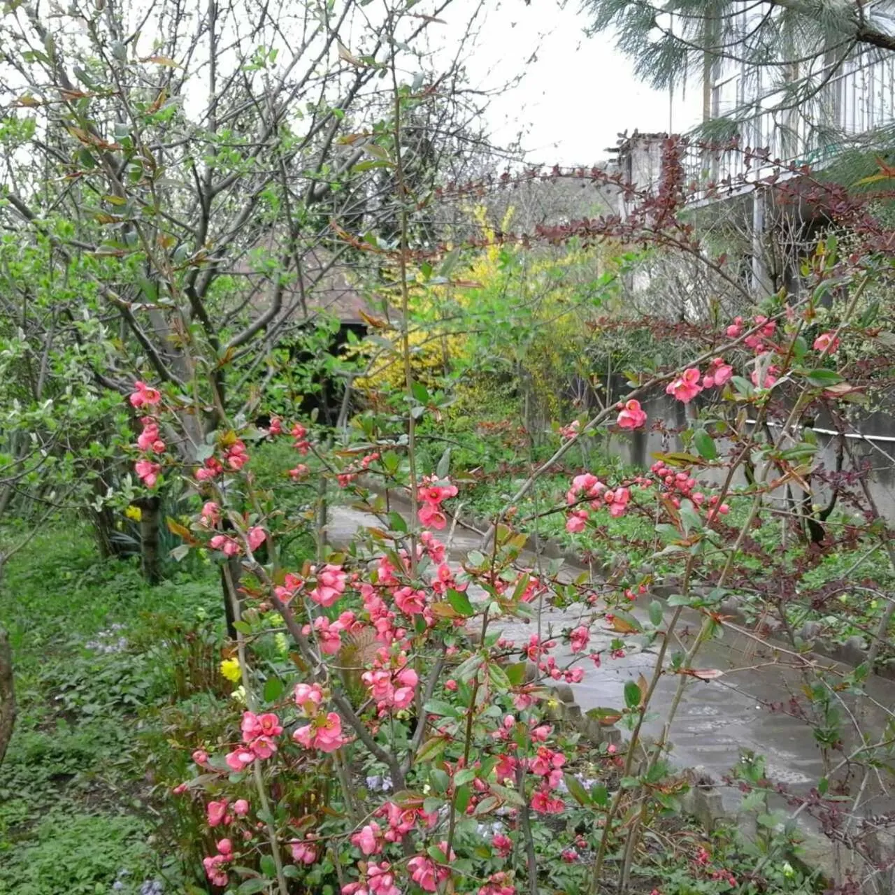 Spring in Casanova Inn - Boutique Hotel