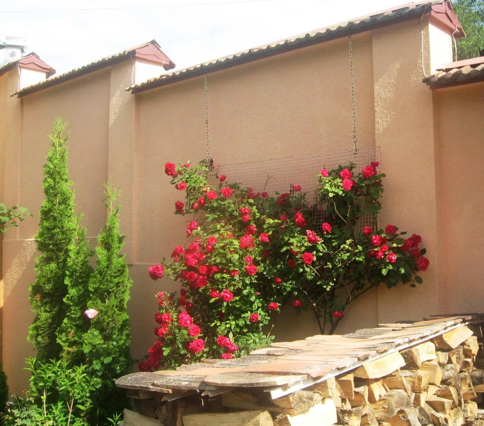 Garden in Casanova Inn - Boutique Hotel