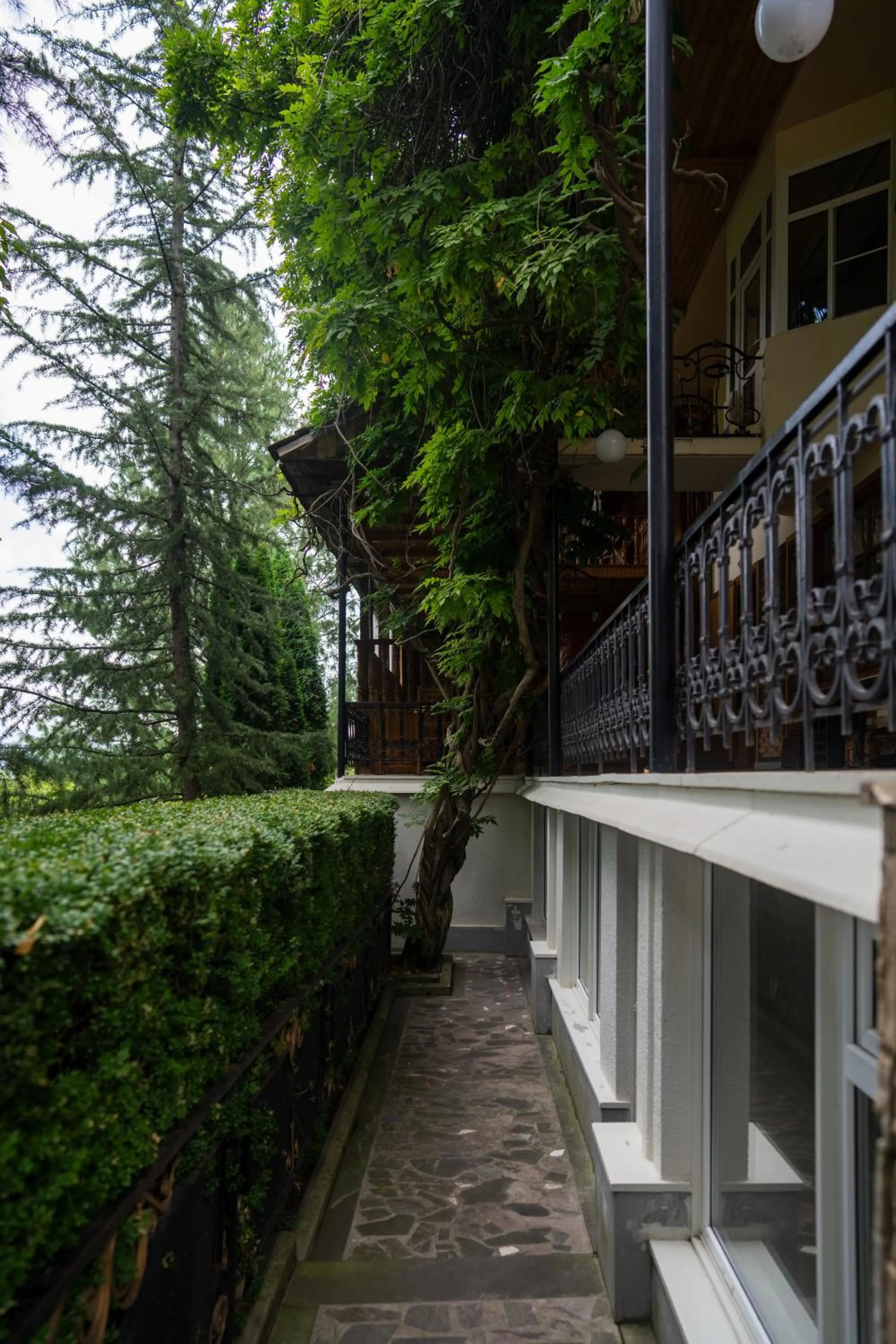 Garden in Casanova Inn - Boutique Hotel