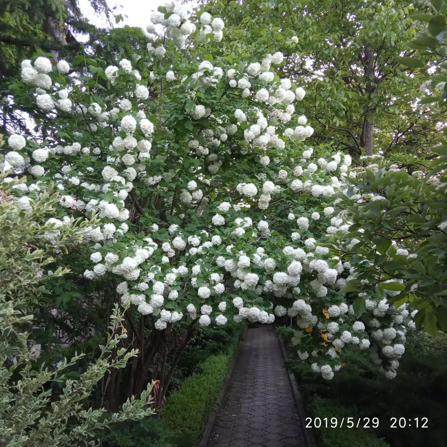 Garden in Casanova Inn - Boutique Hotel