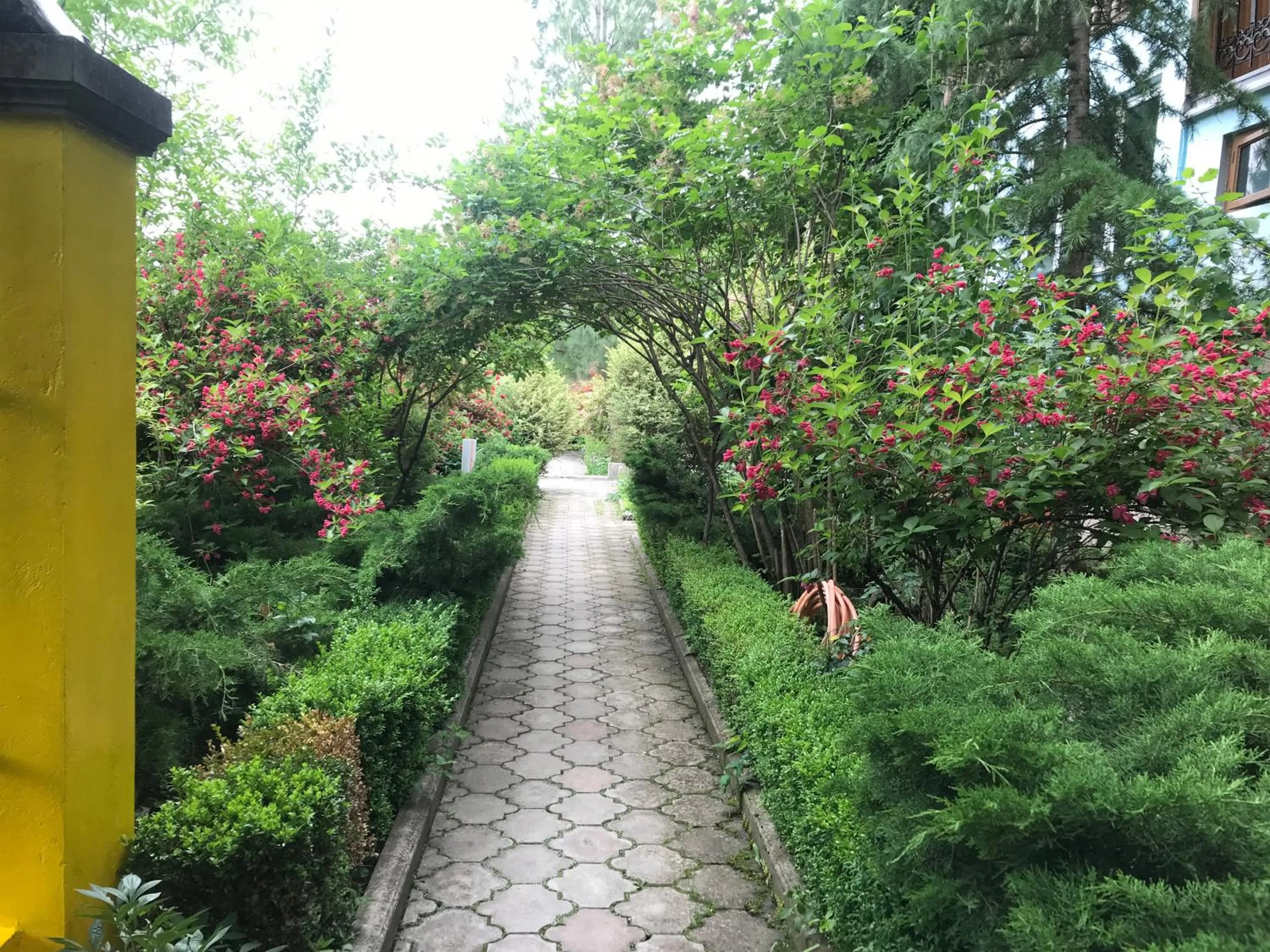 Garden in Casanova Inn - Boutique Hotel