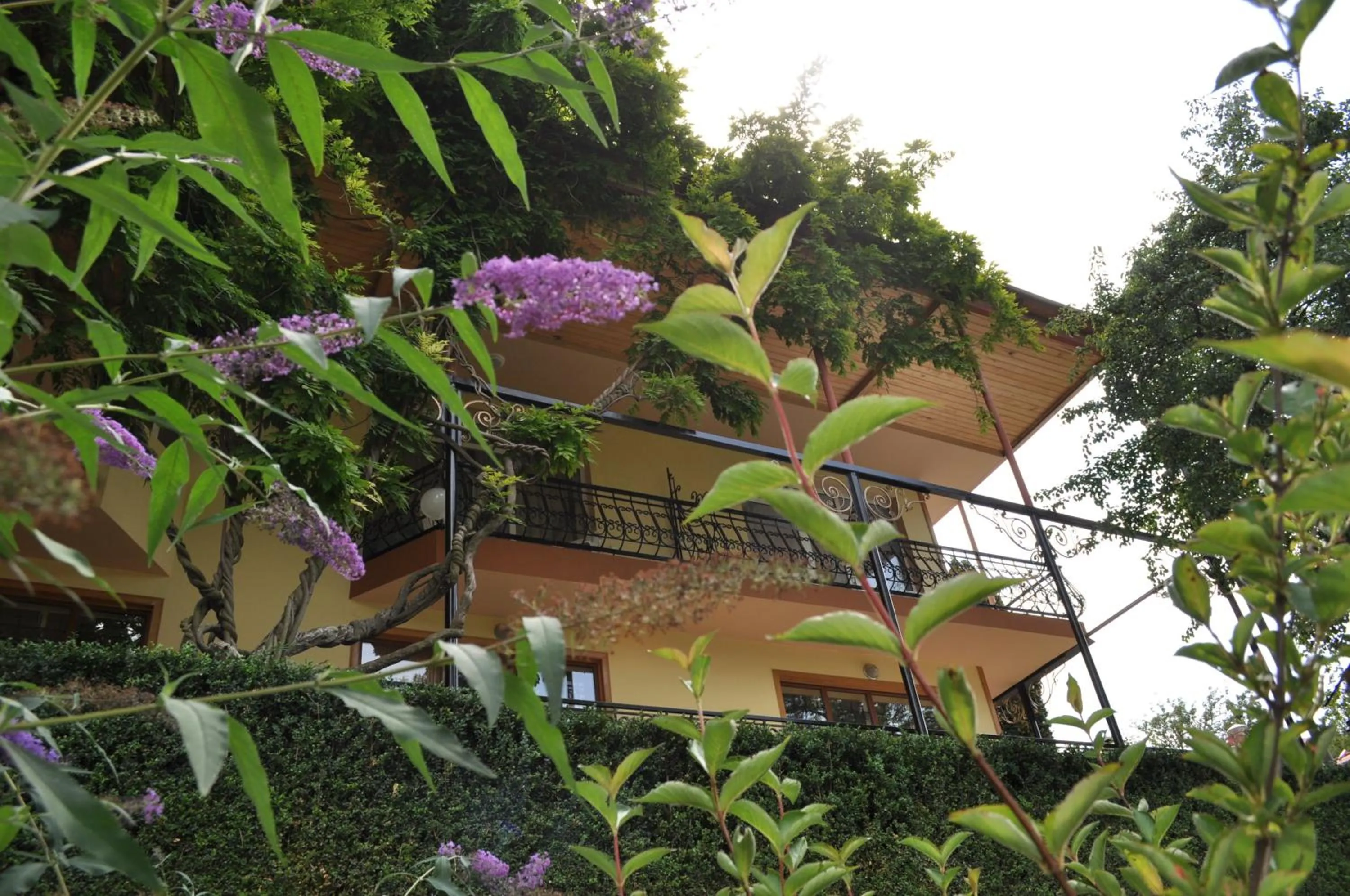 Facade/entrance in Casanova Inn - Boutique Hotel