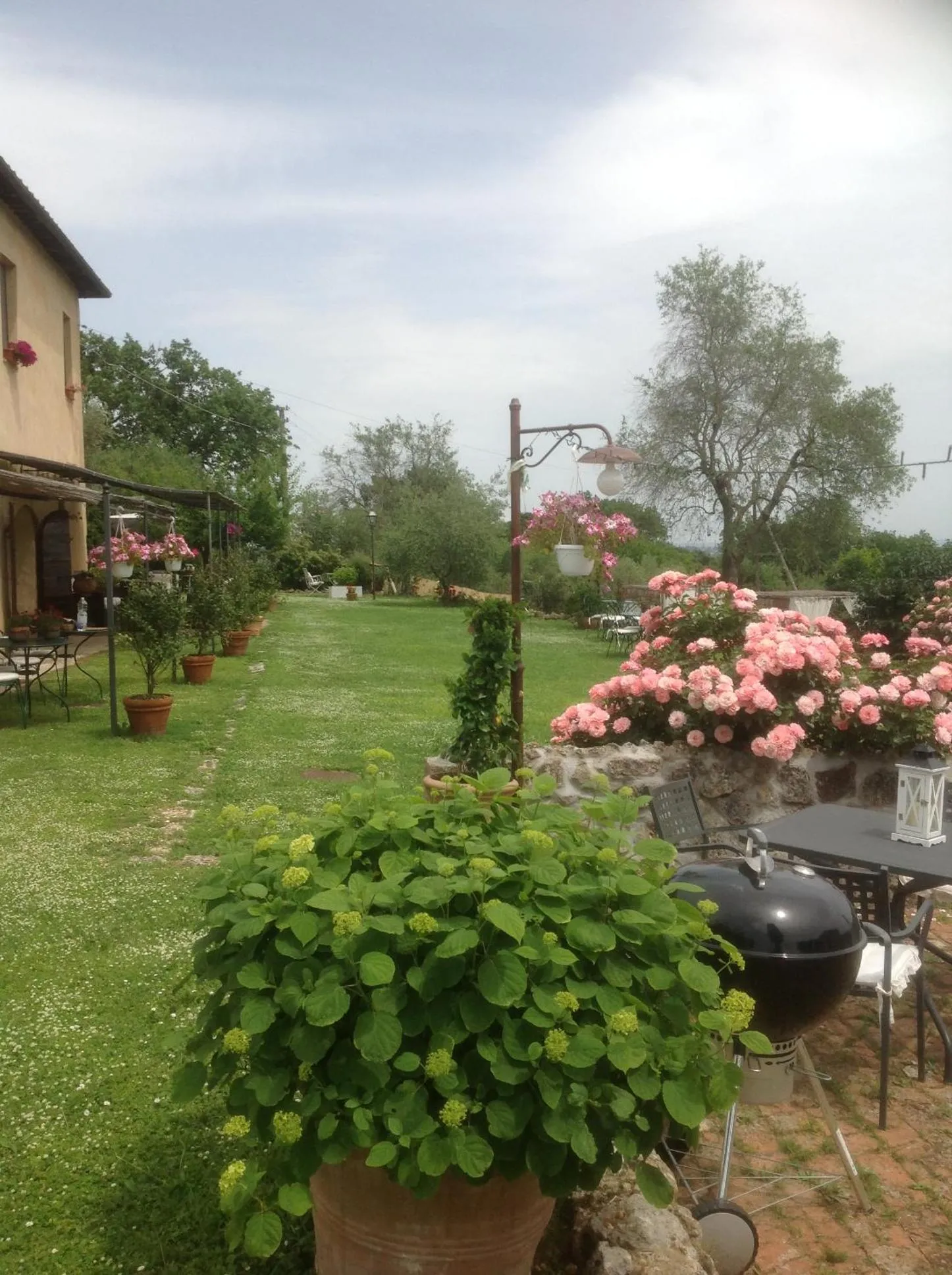 Garden in La Canonica Di San Michele