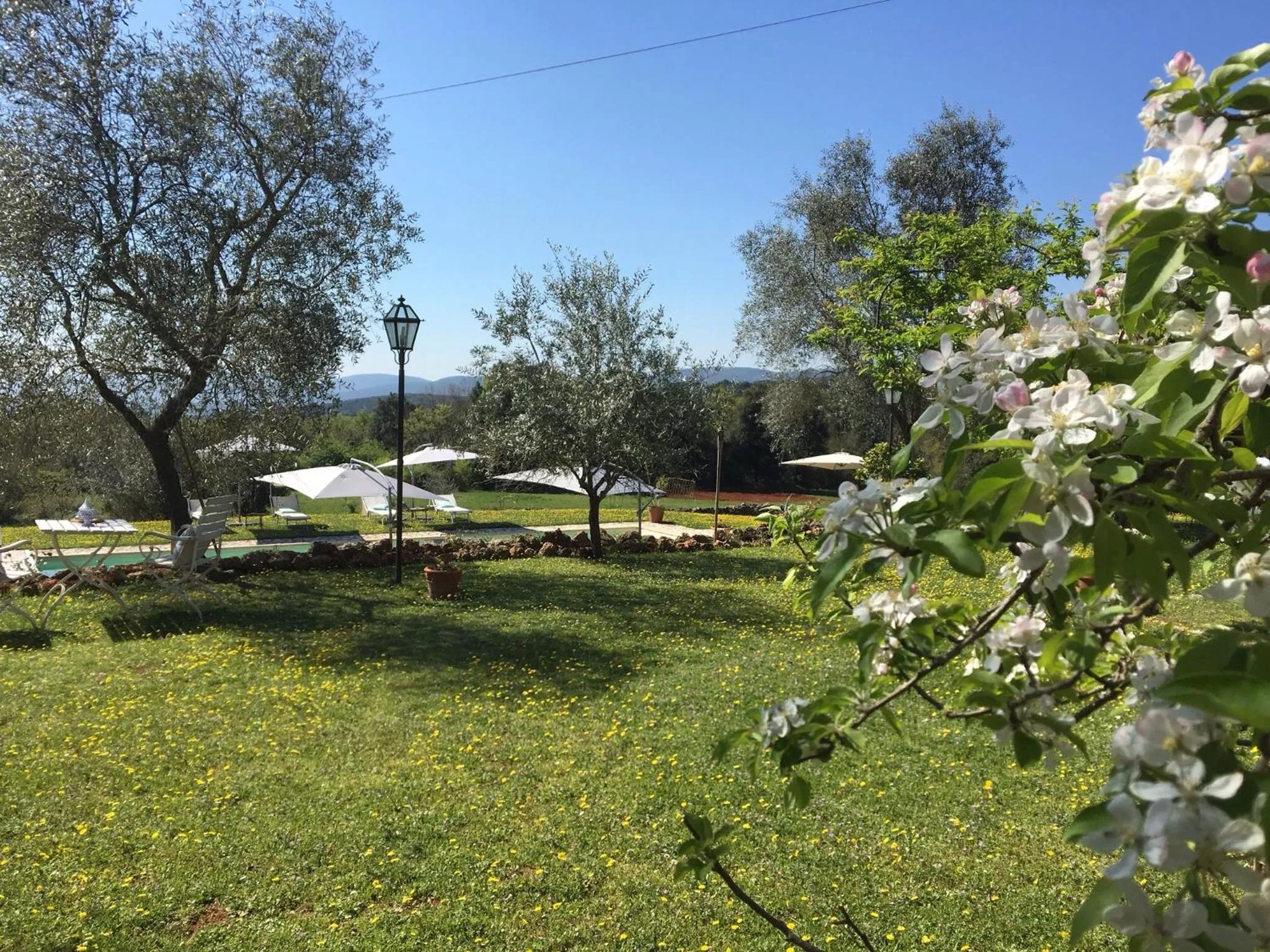 Garden view in La Canonica Di San Michele