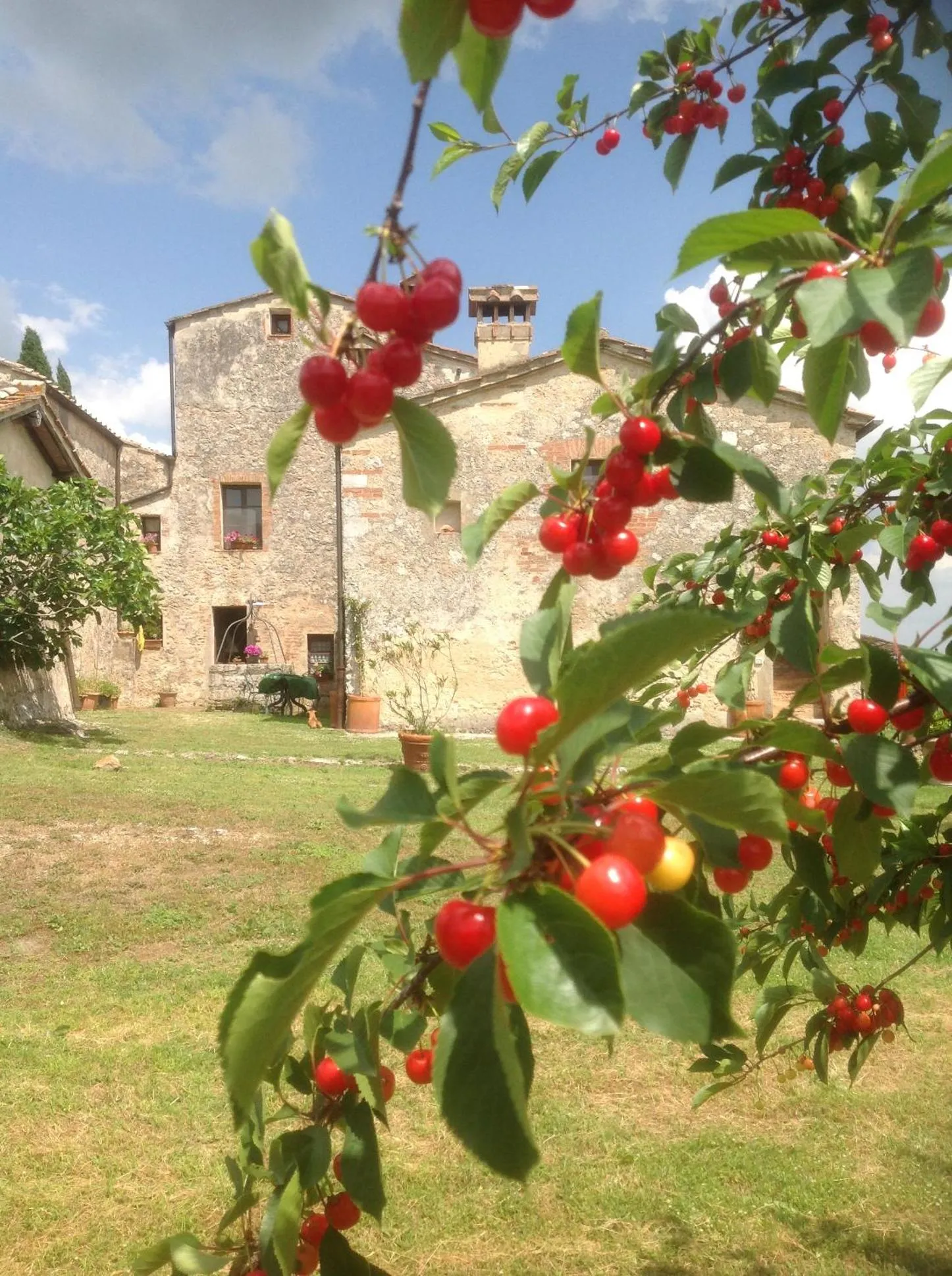 Property building in La Canonica Di San Michele