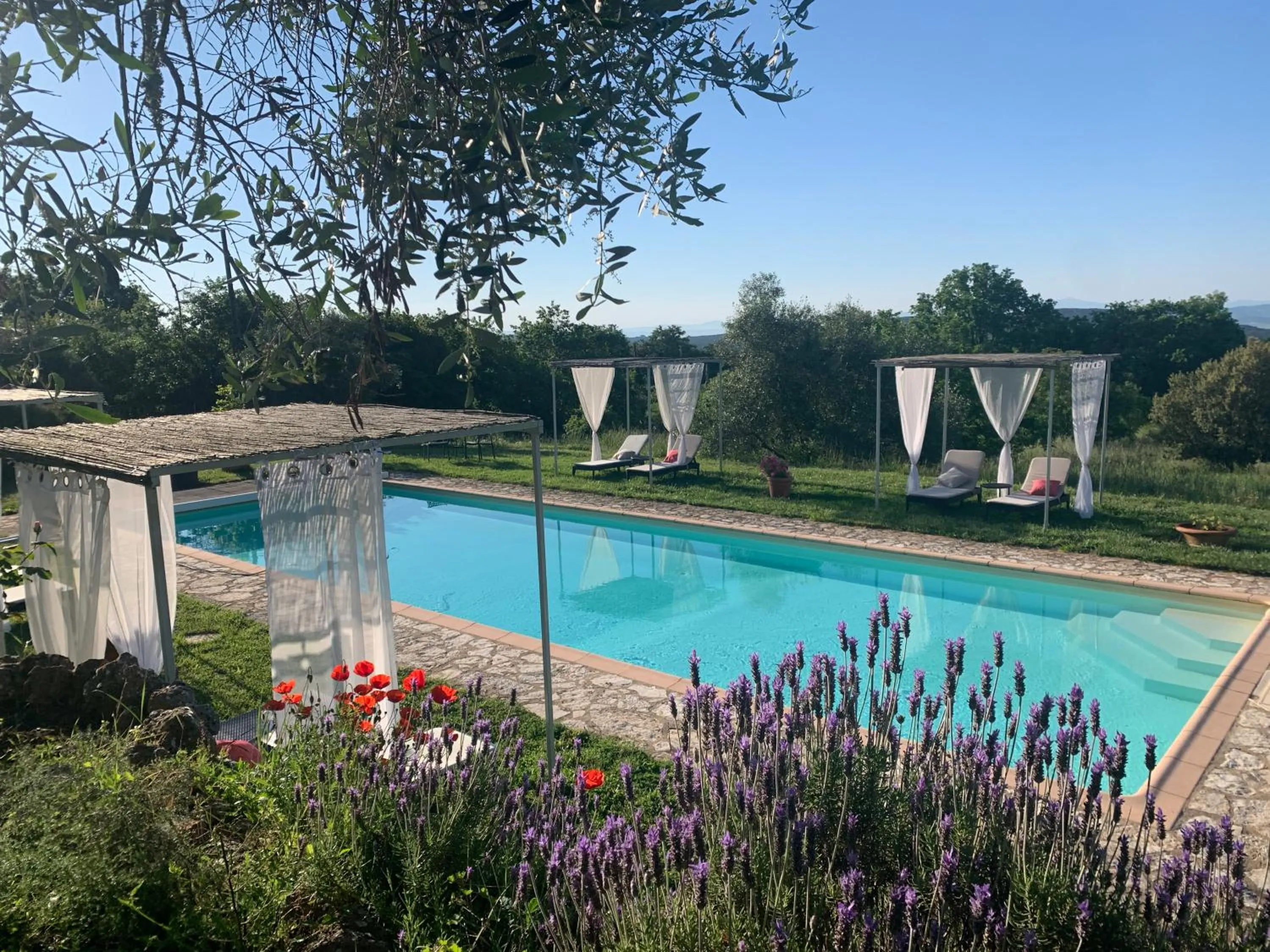 Swimming pool in La Canonica Di San Michele