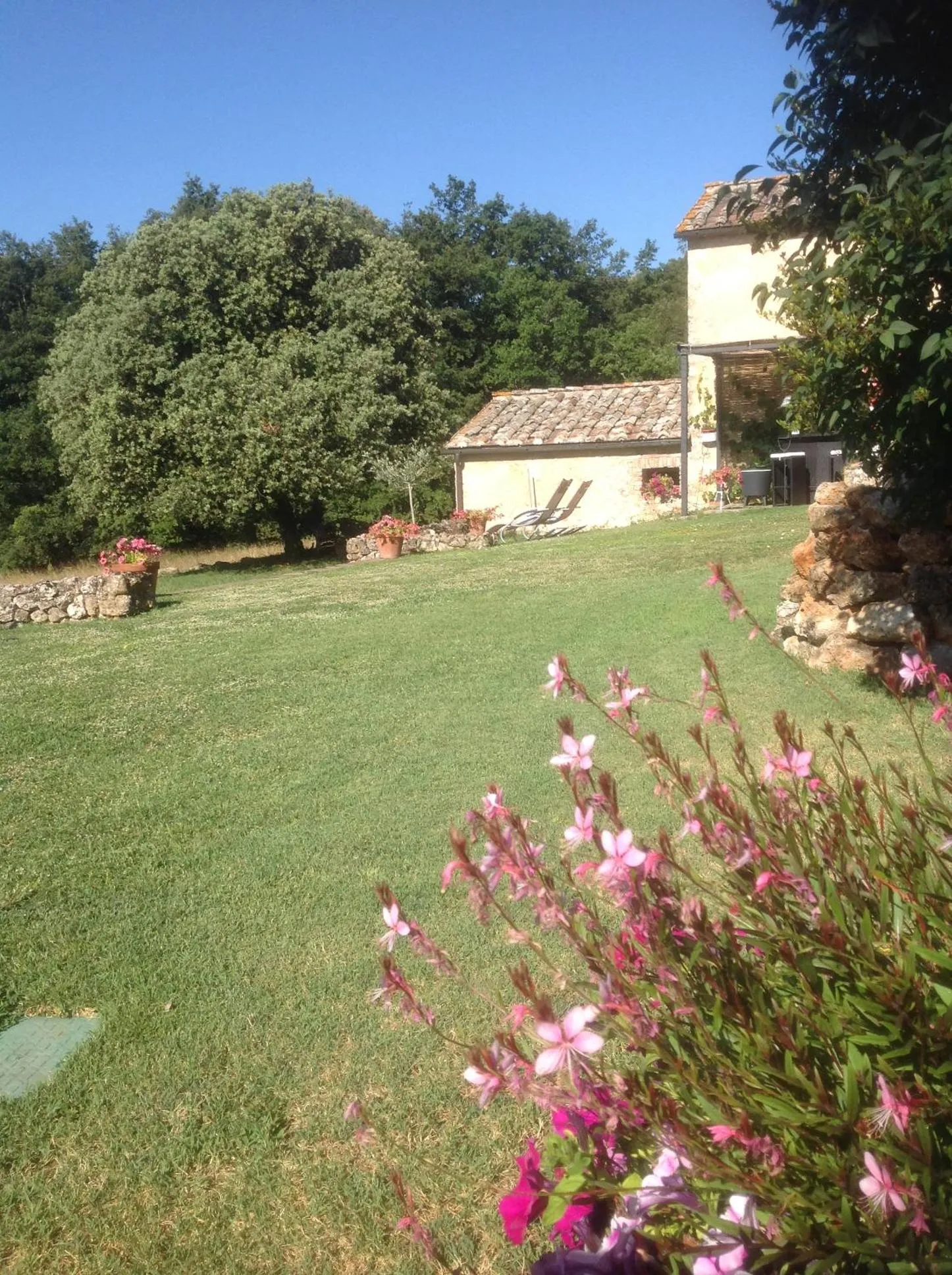 Garden view in La Canonica Di San Michele