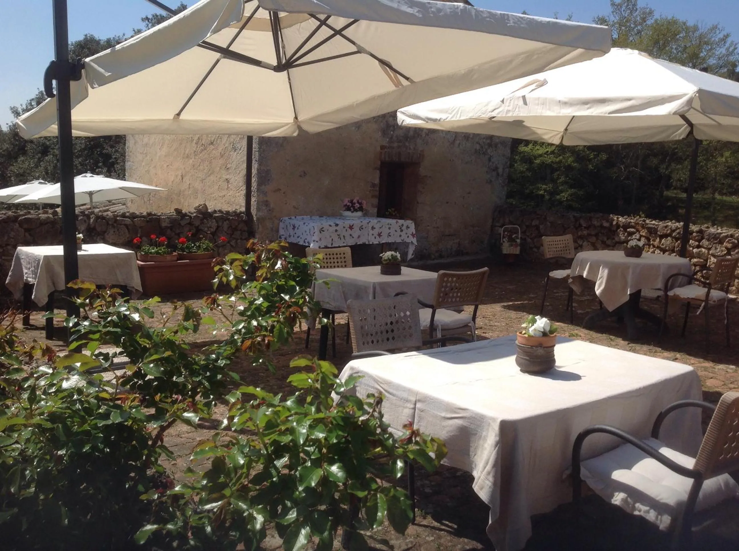 Food and drinks in La Canonica Di San Michele