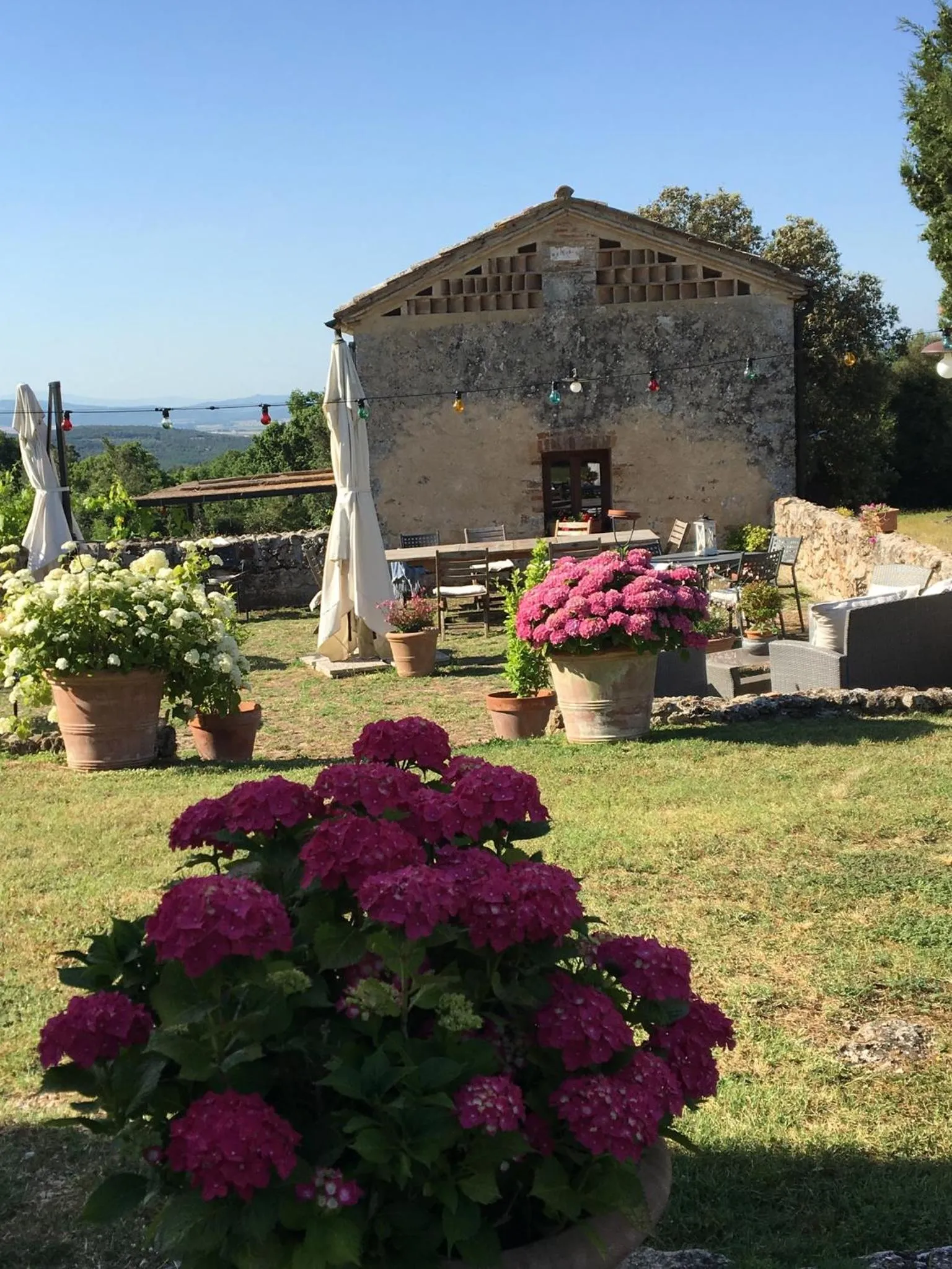 Garden in La Canonica Di San Michele