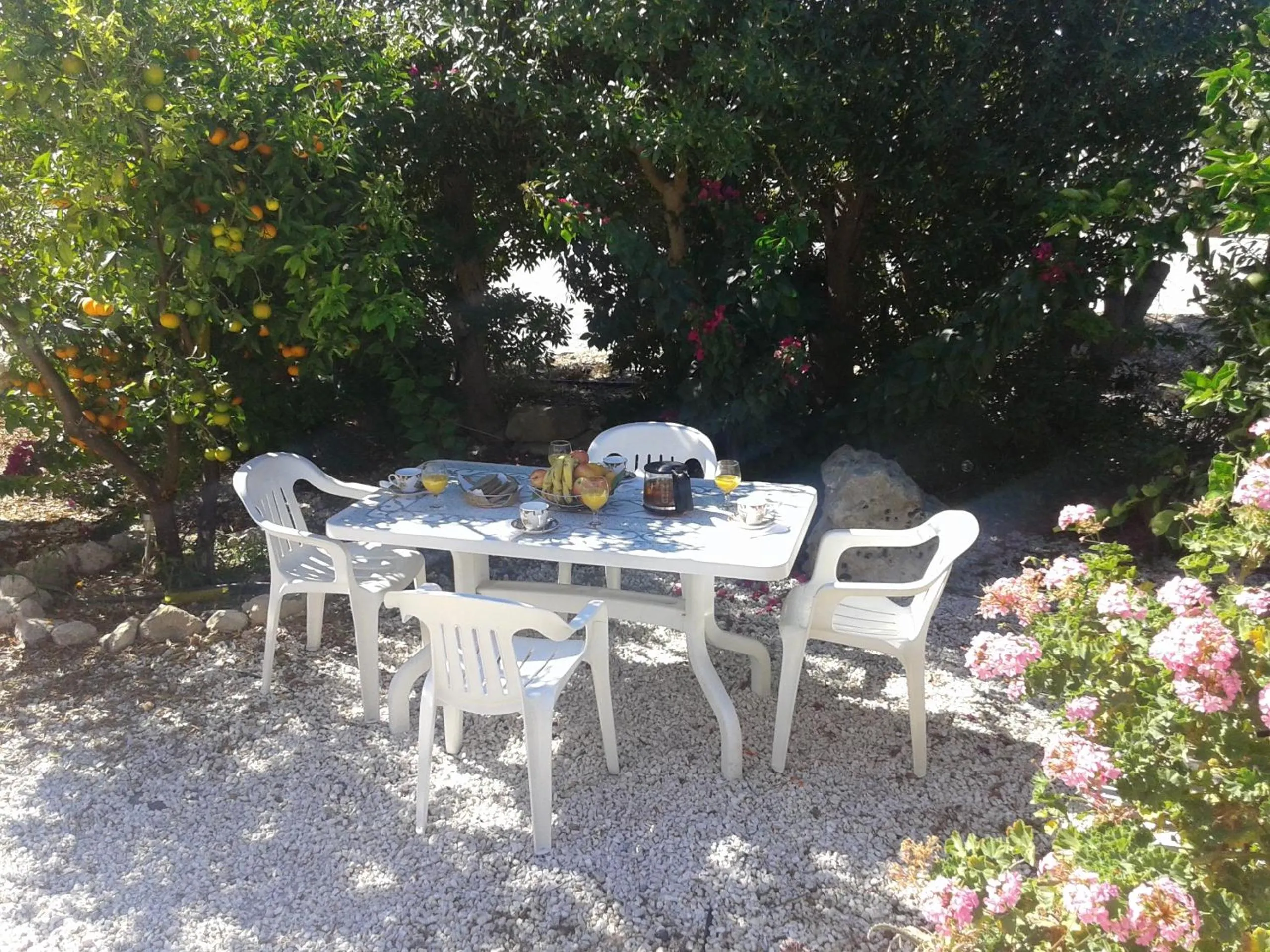 Garden in Arilena Holiday Apartments