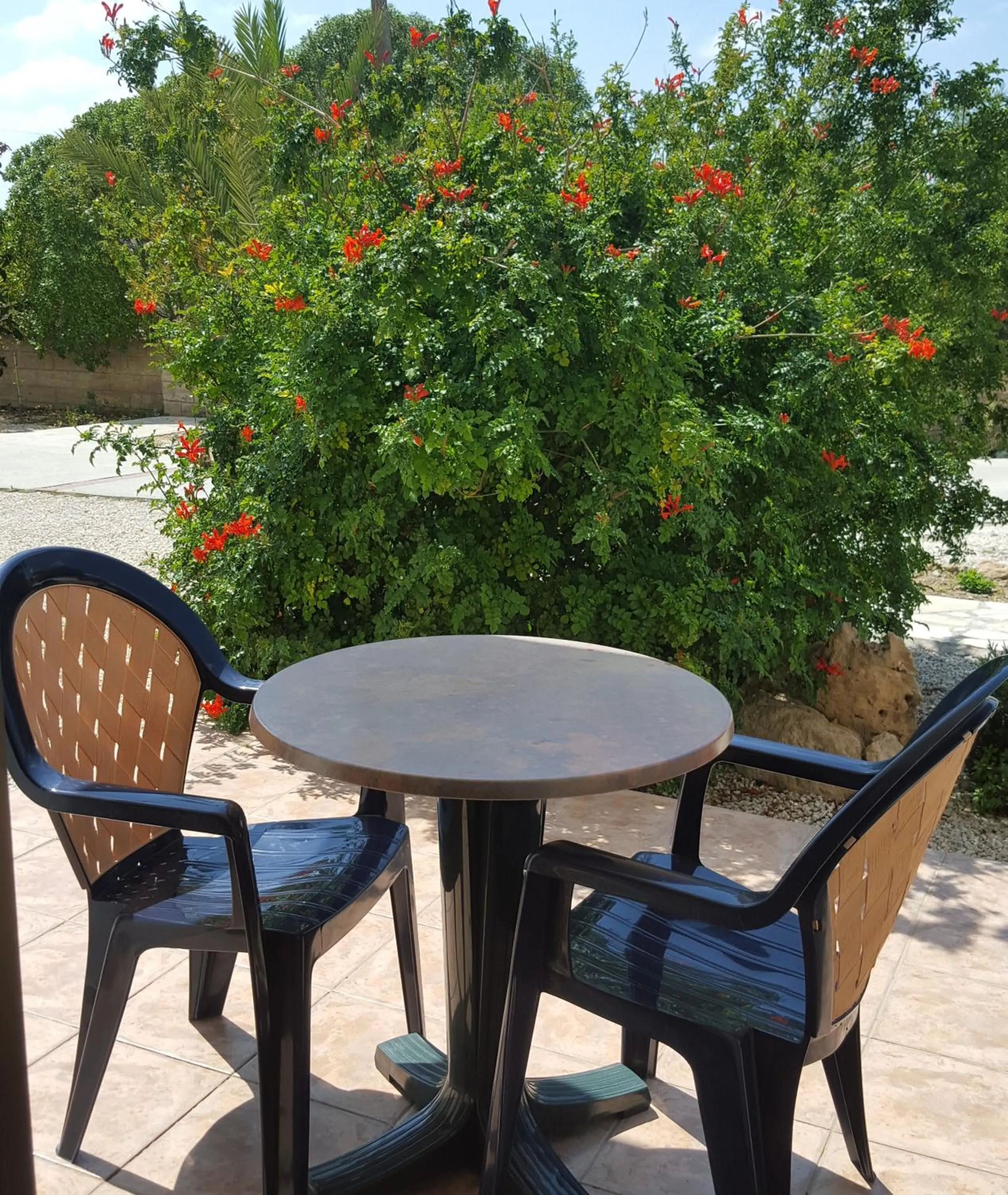 Patio in Arilena Holiday Apartments