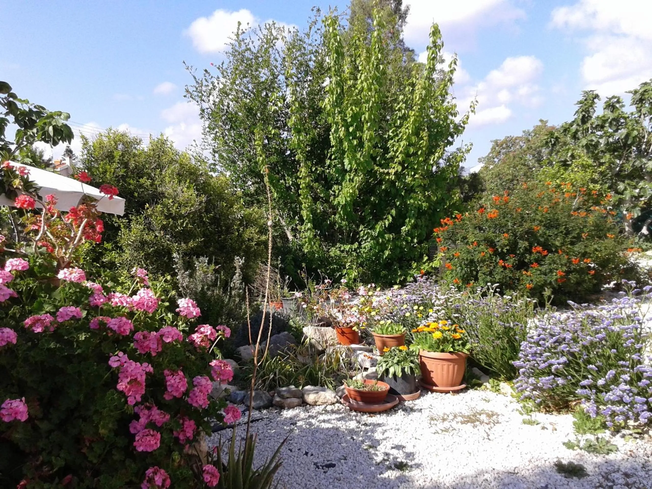 Garden in Arilena Holiday Apartments