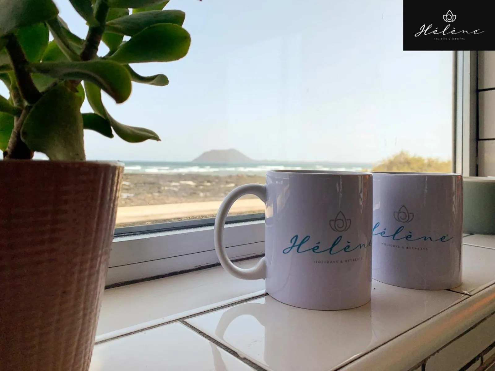 Kitchen or kitchenette in Hélène Holidays - Hotel Boutique