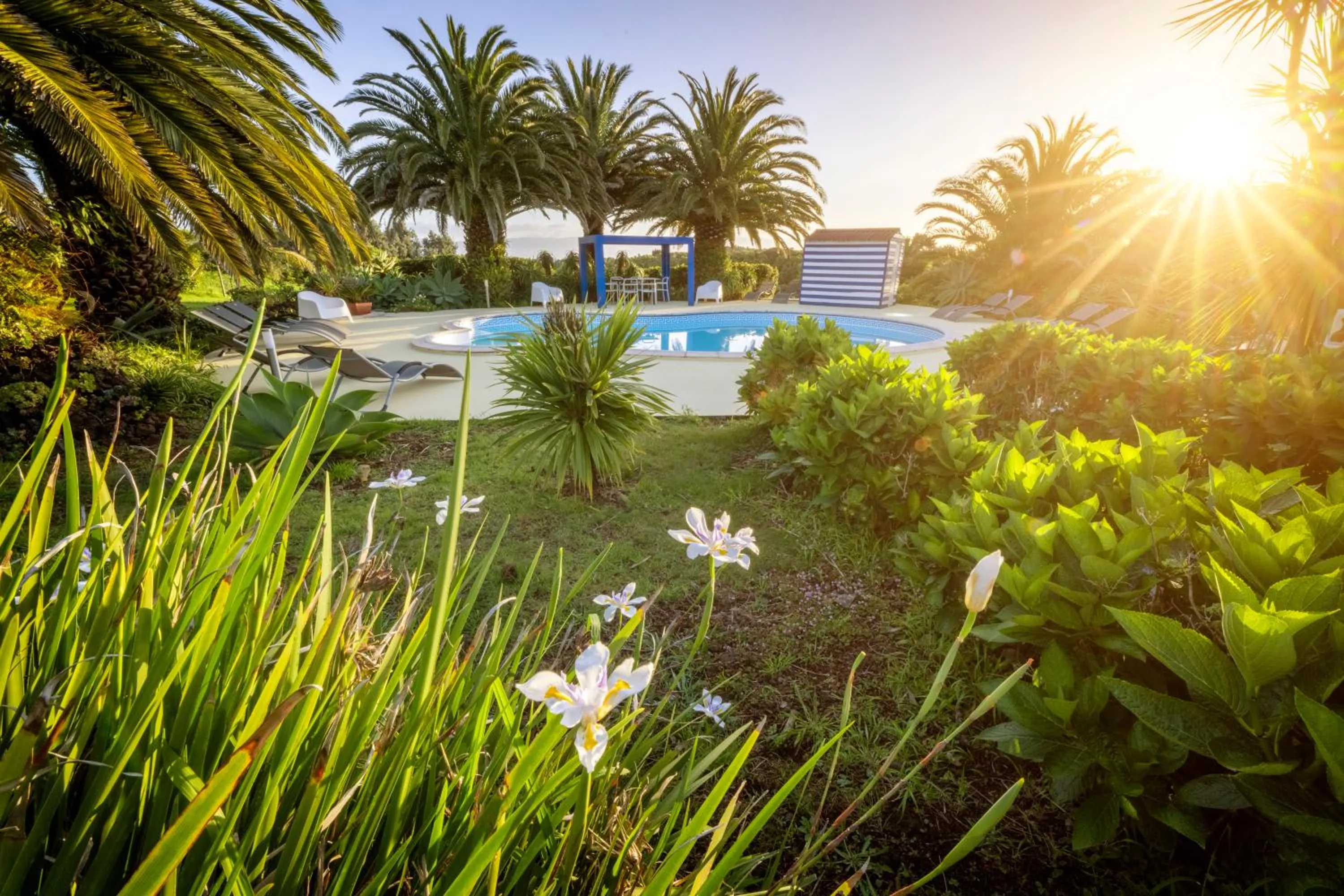 Swimming pool in O Zimbreiro
