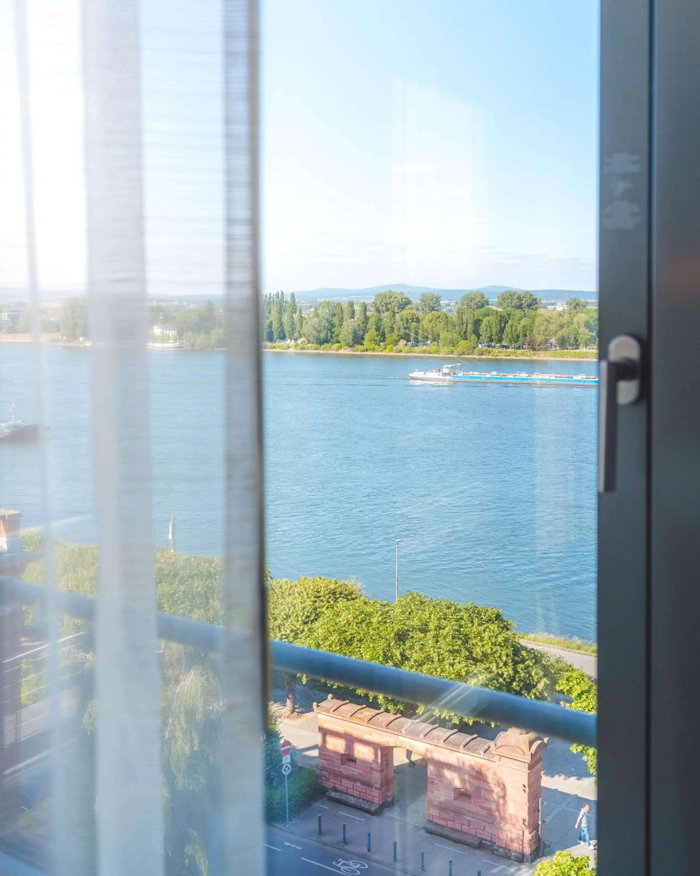 View (from property/room) in Hyatt Regency Mainz