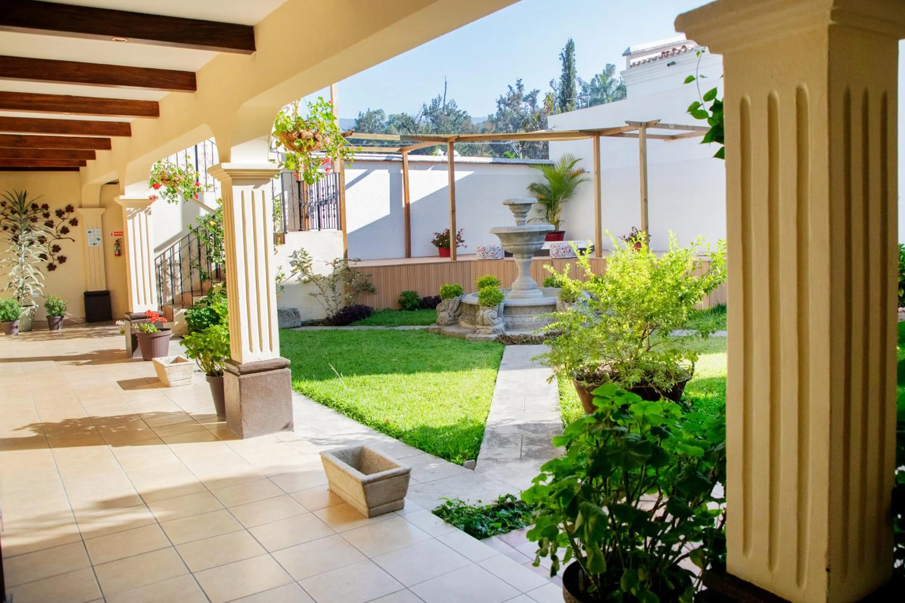 Garden in Nico Hotel