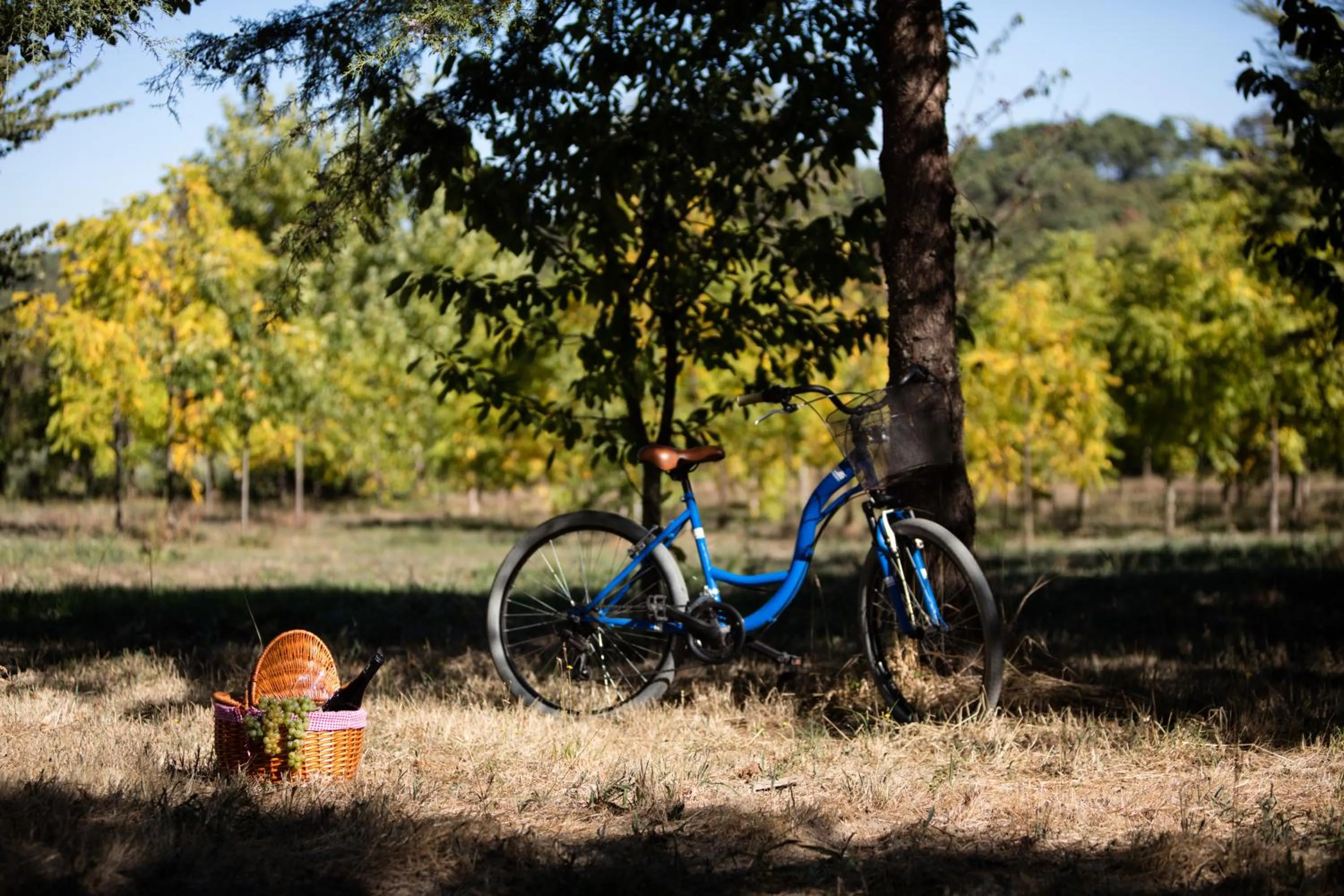 Food in Solar Dos Cáceres