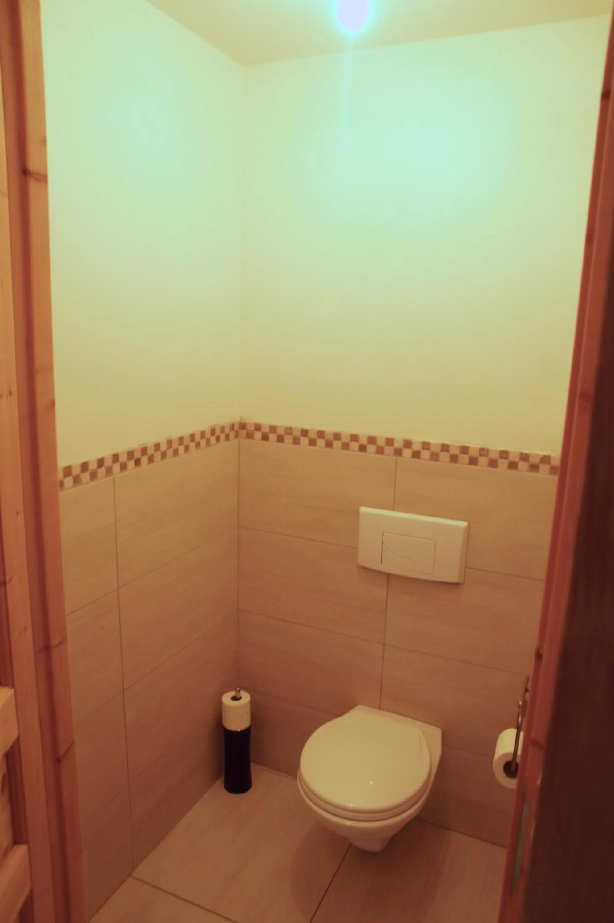 Toilet in Le Grand Noë